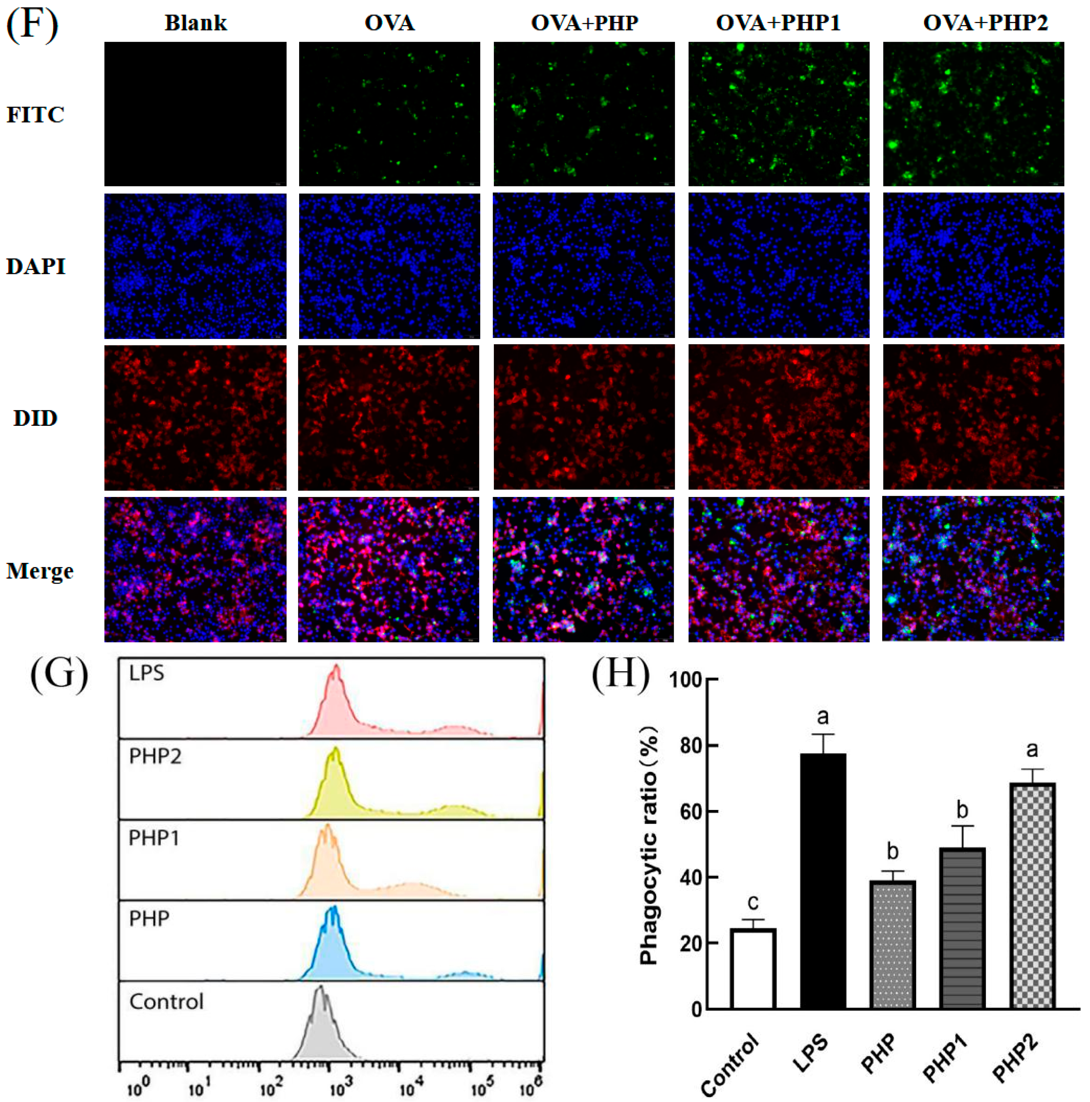Molecules 29 00142 g004b