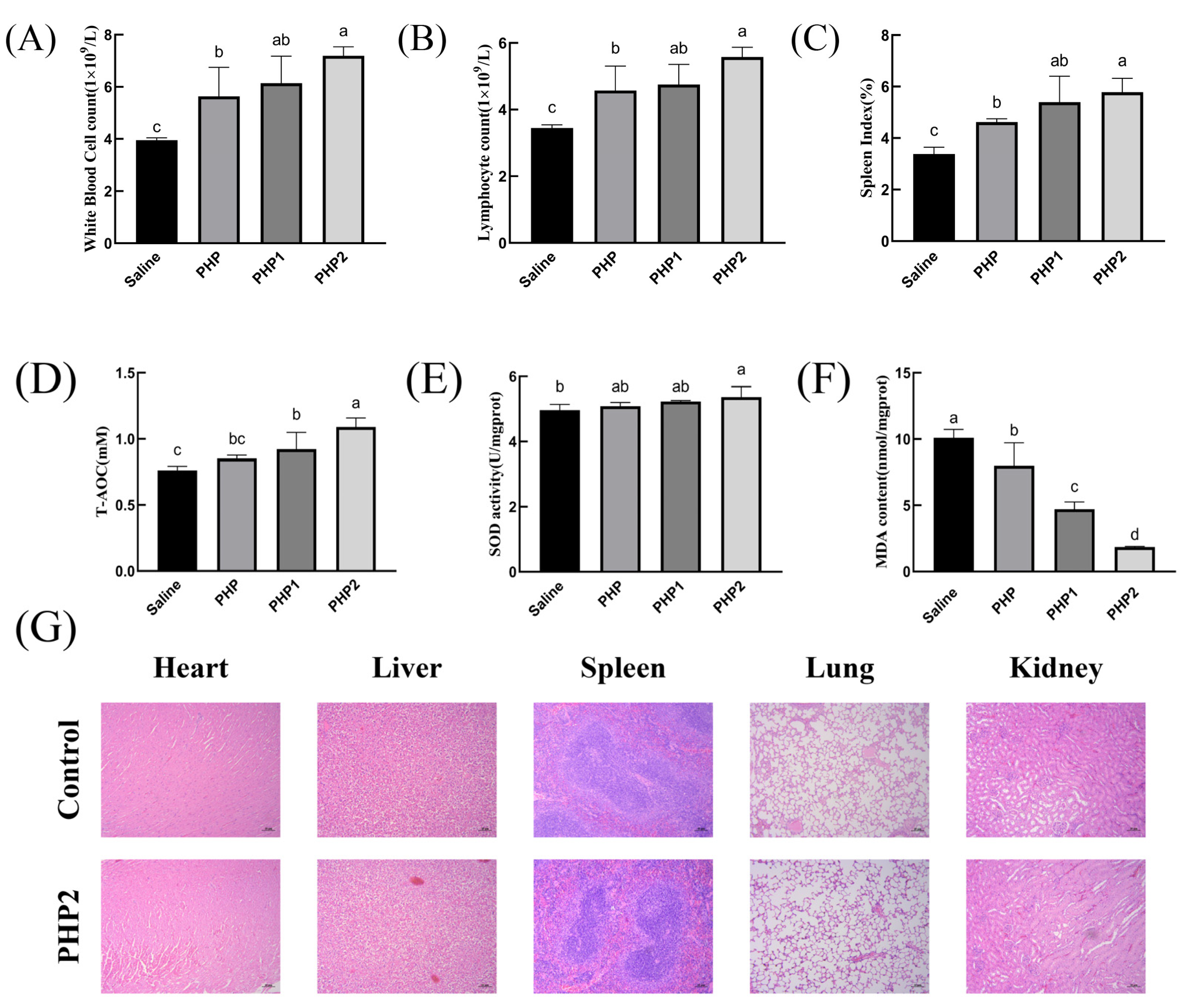 Molecules 29 00142 g005