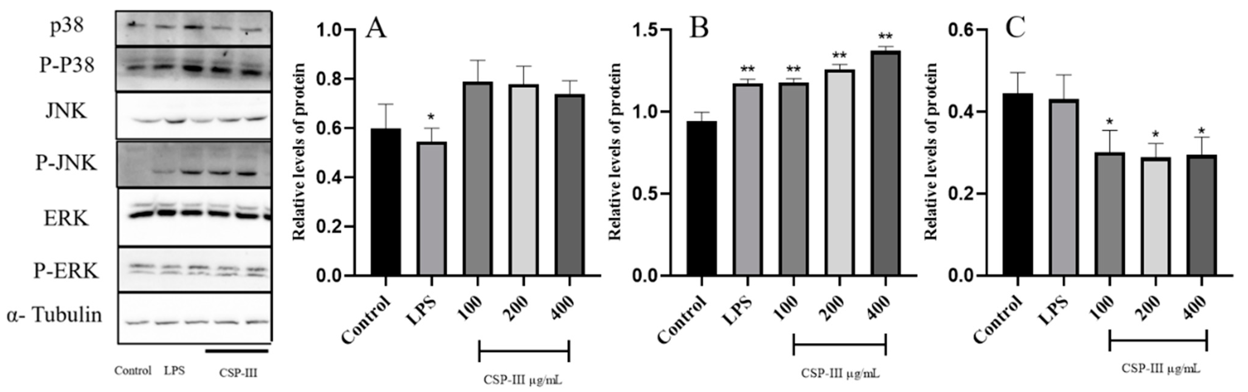 Molecules 29 00143 g006 Molecules 29 00143 g006