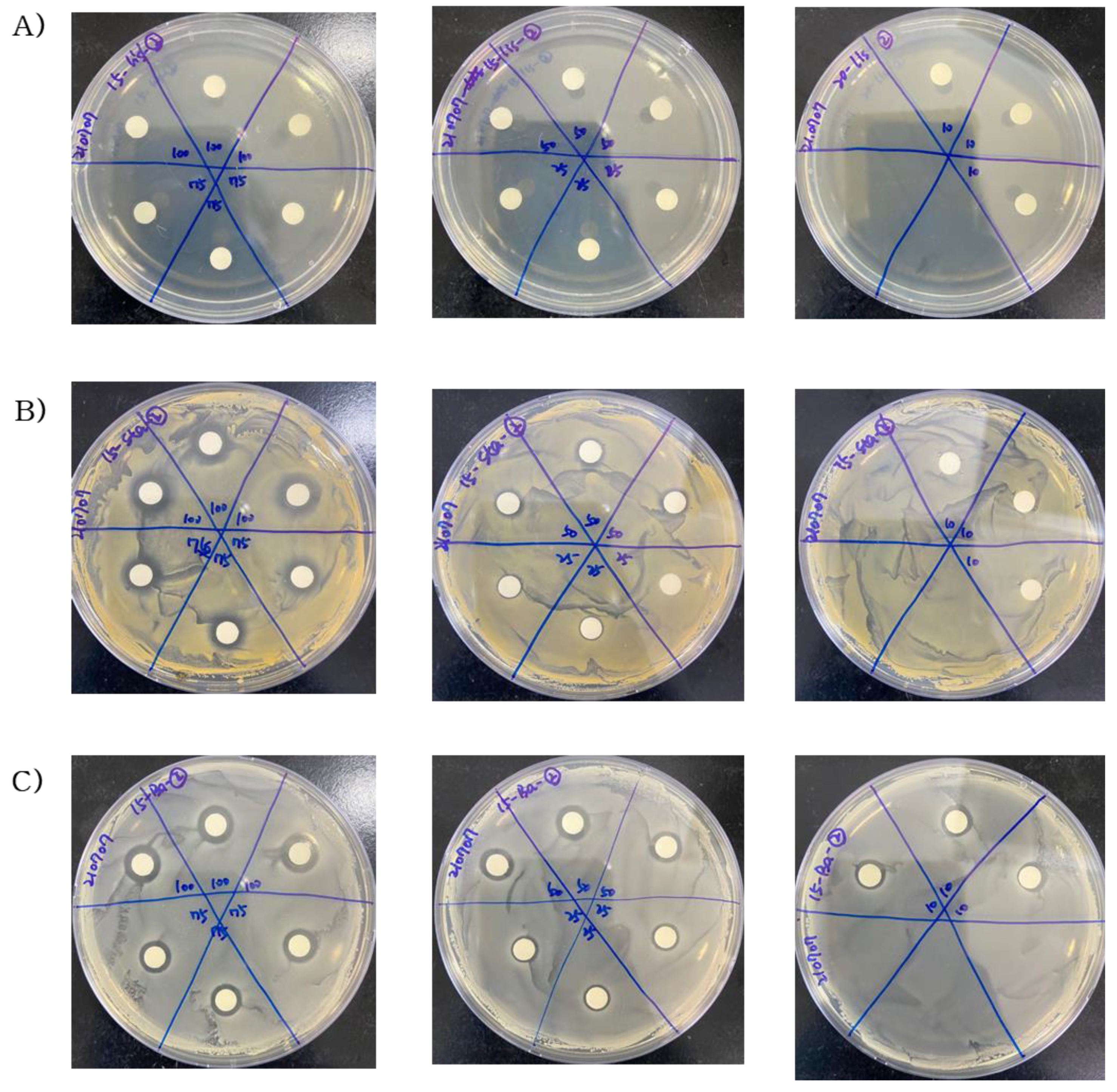 Molecules 29 00165 g002