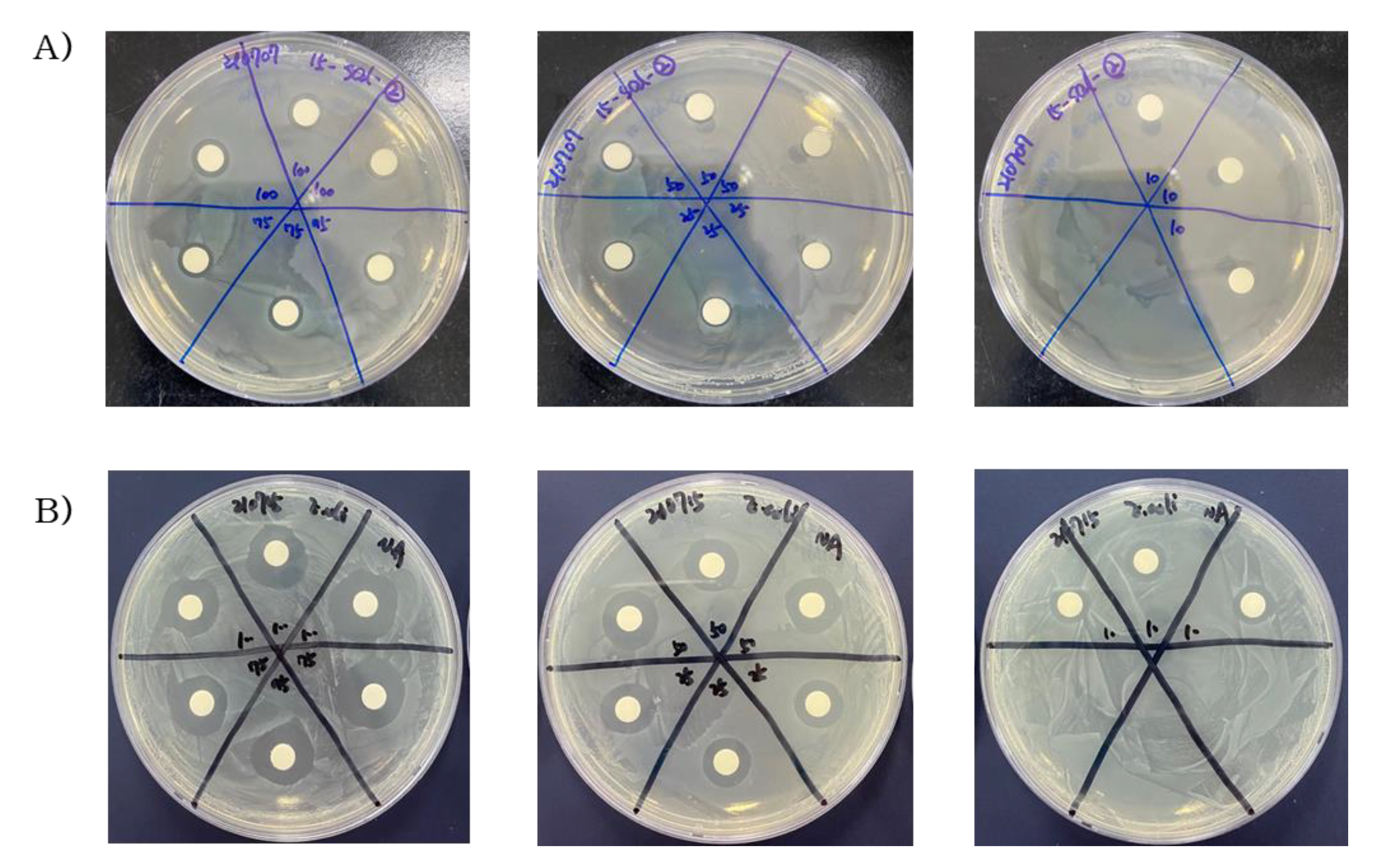 Molecules 29 00165 g003