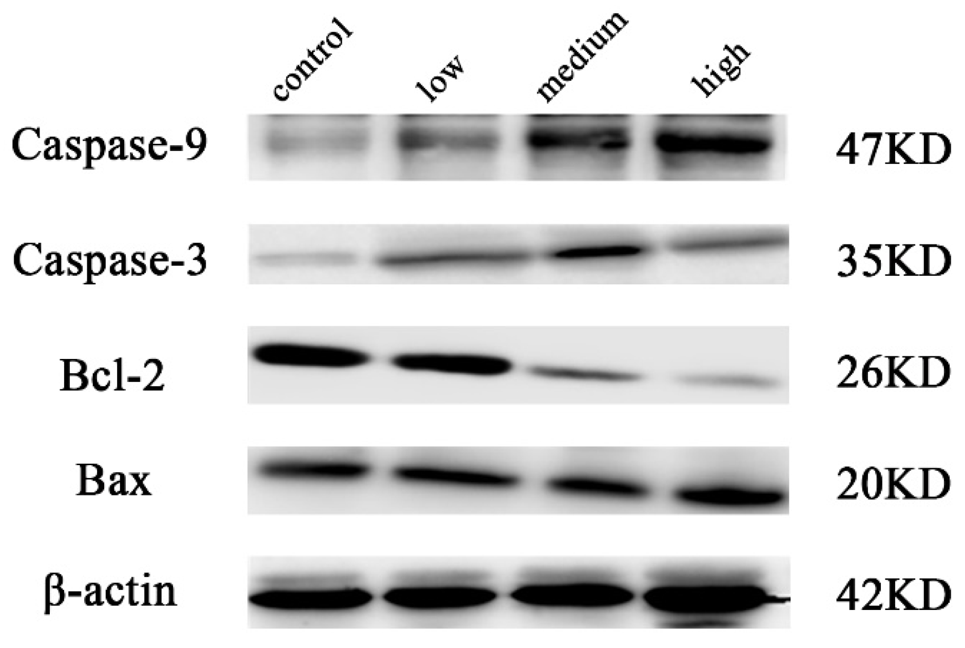 Molecules 29 00483 g006 Molecules 29 00483 g006