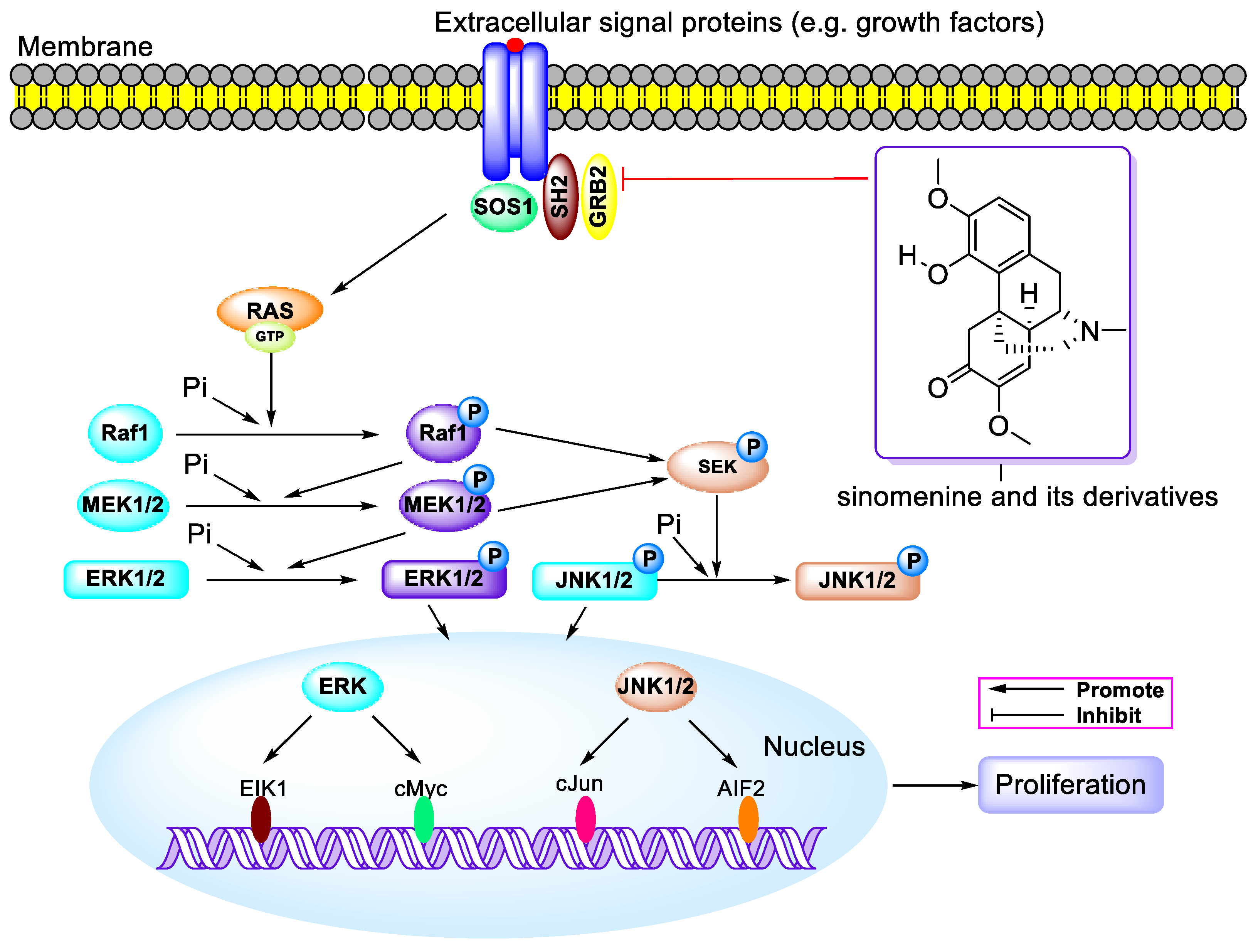 Molecules 29 00540 g006