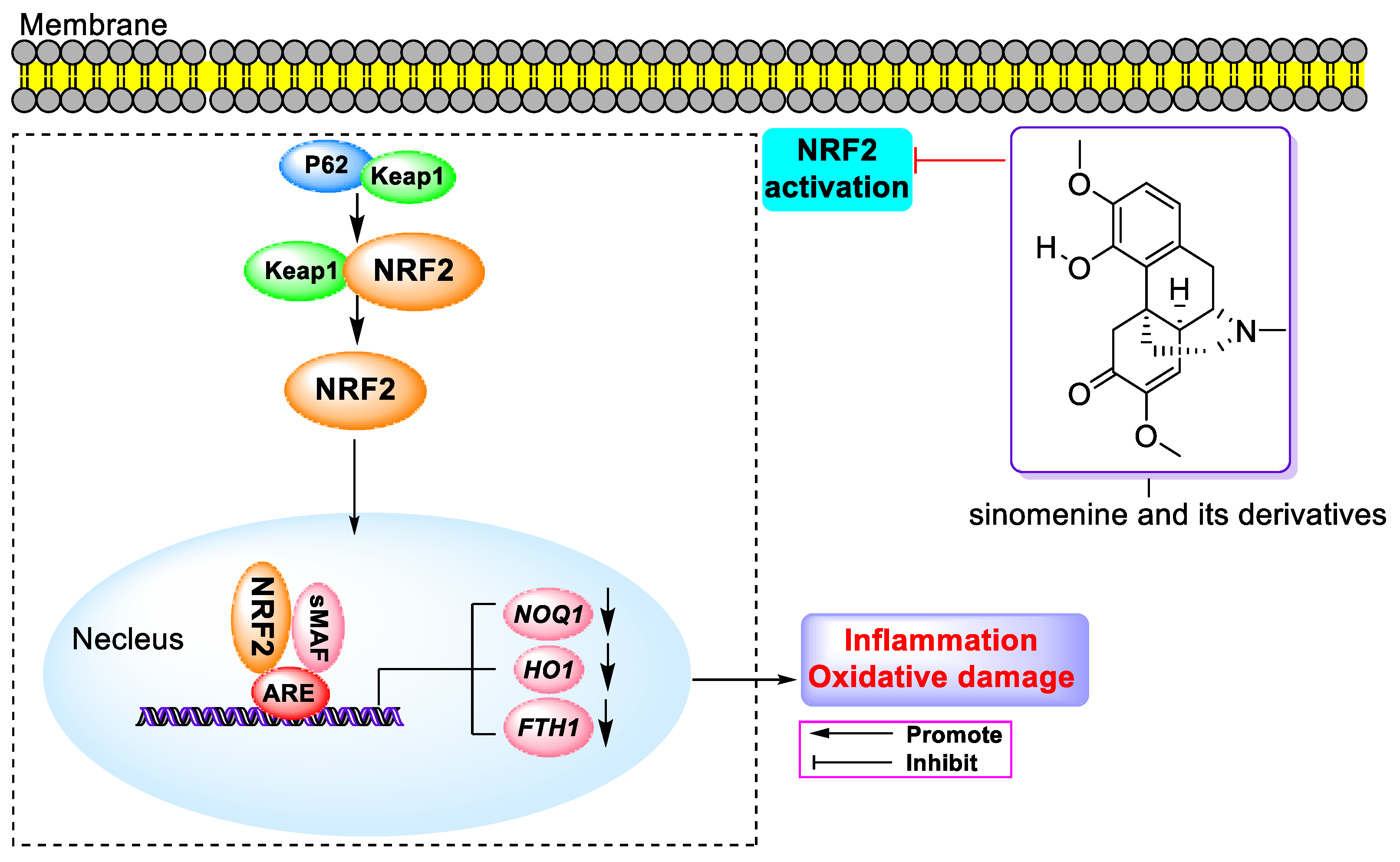 Molecules 29 00540 g008