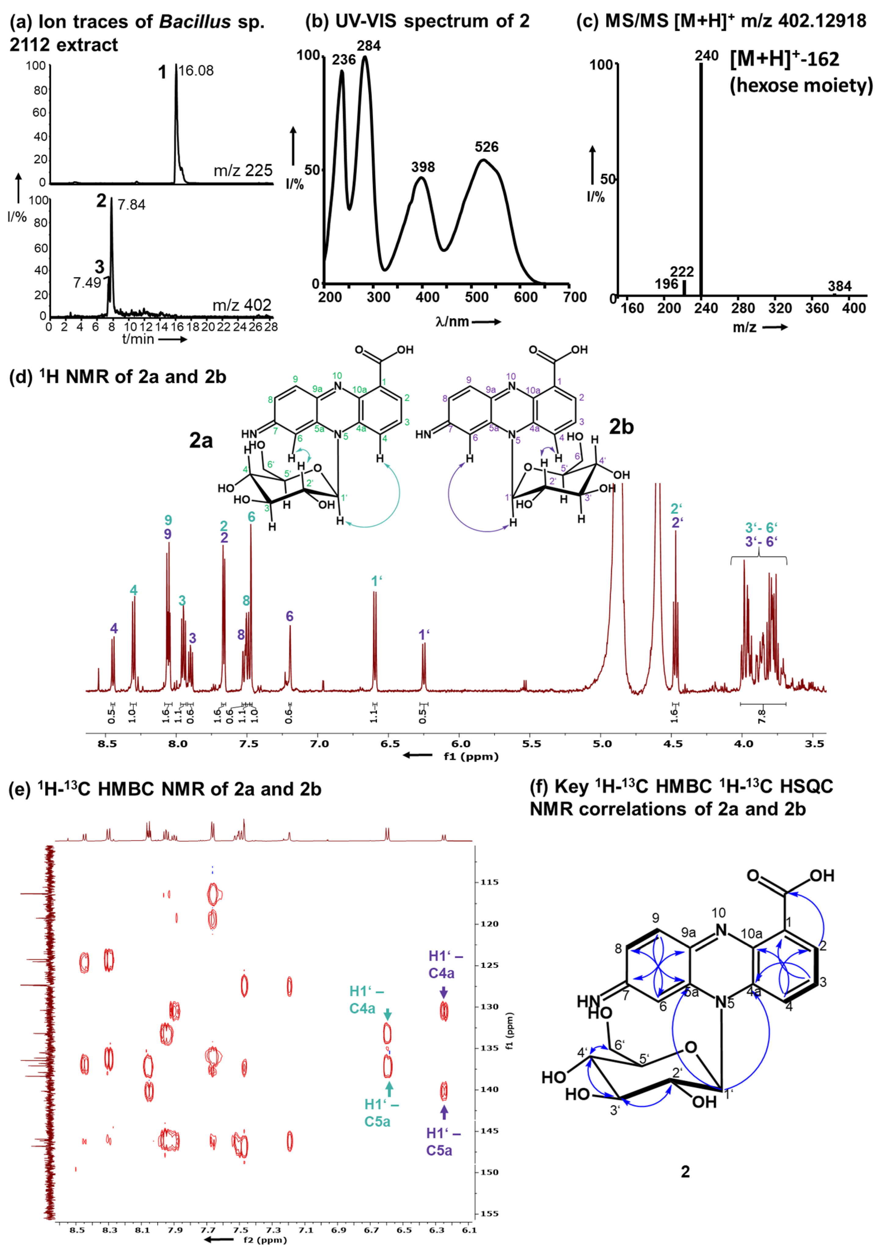 Molecules 29 00589 g002