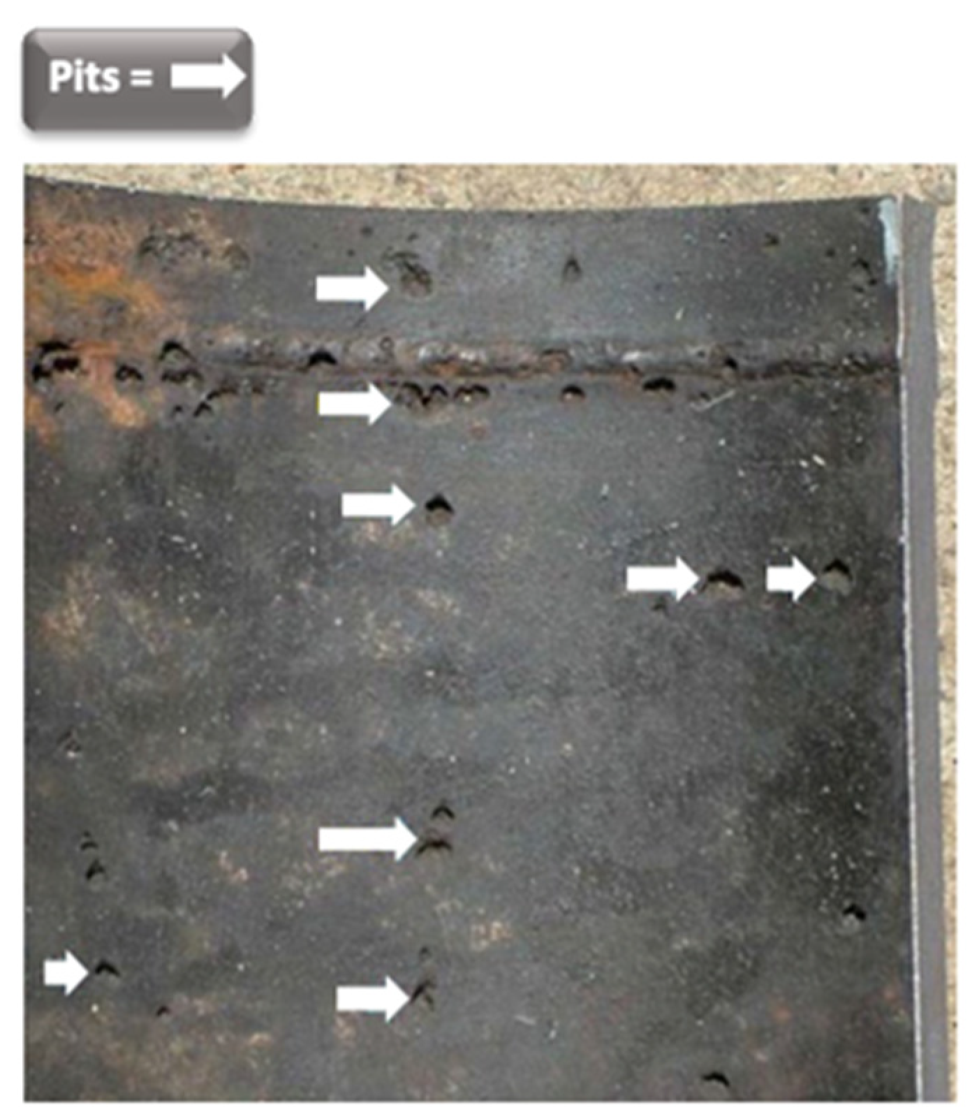 Molecules 29 00688 g009