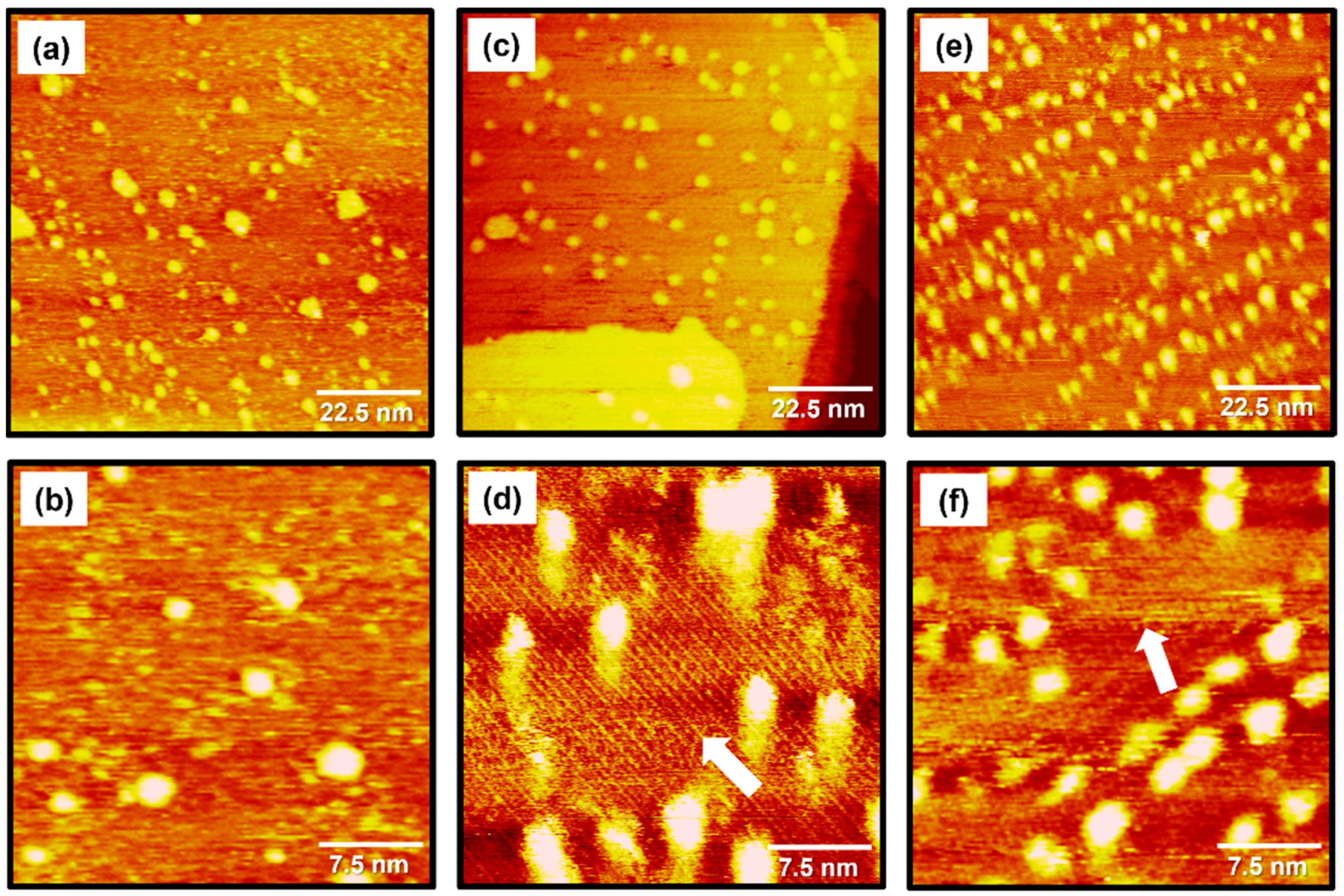 Molecules 29 00846 g002