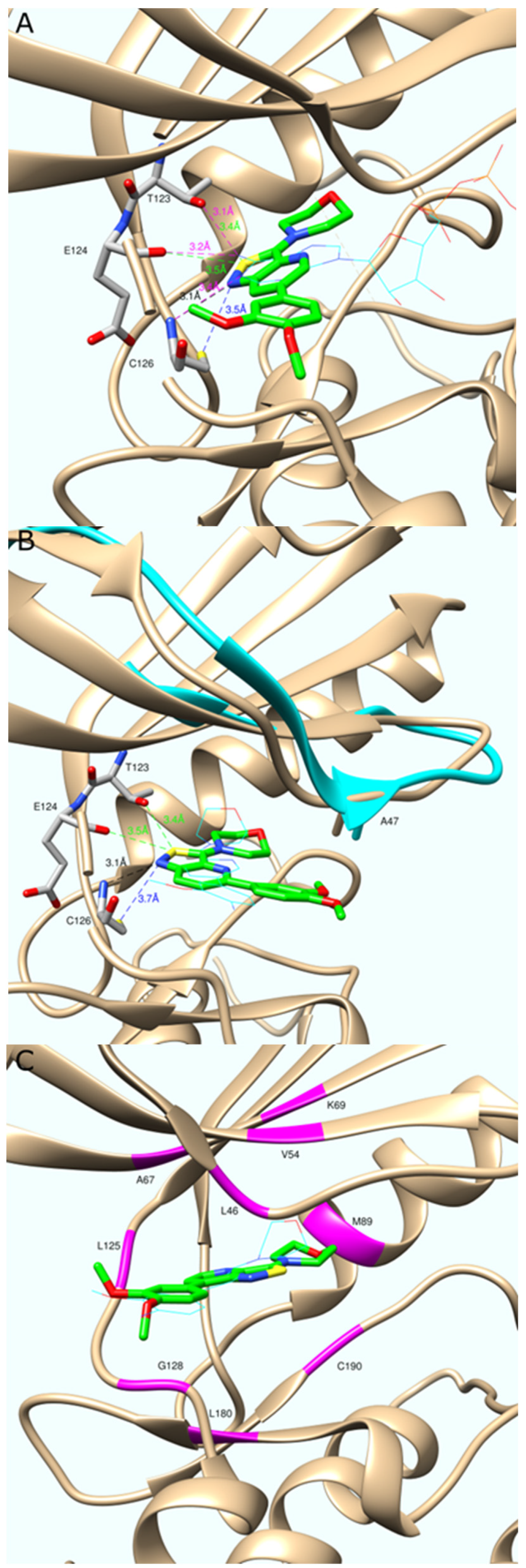 Molecules 29 00954 g005
