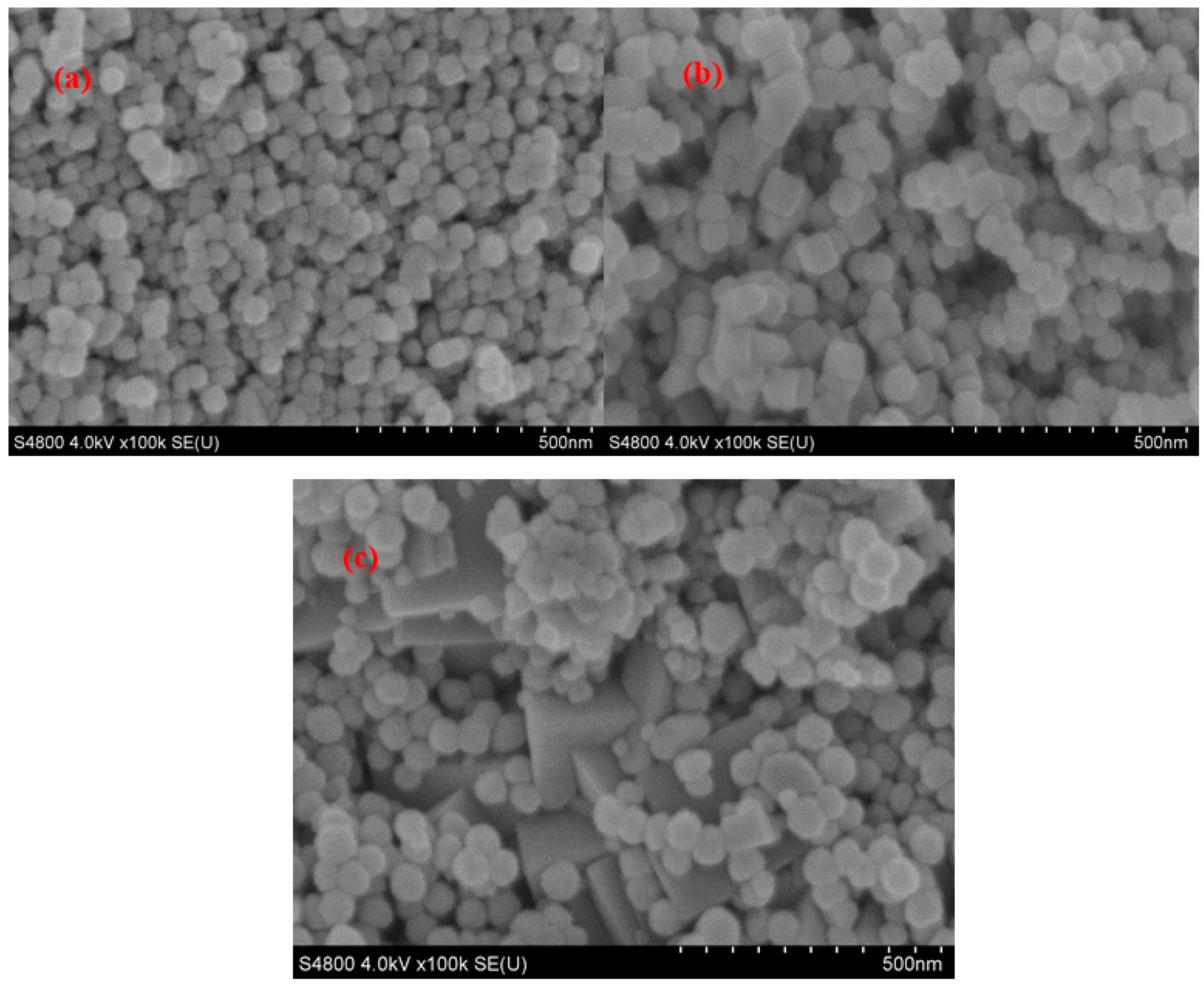 Molecules 29 01007 g001