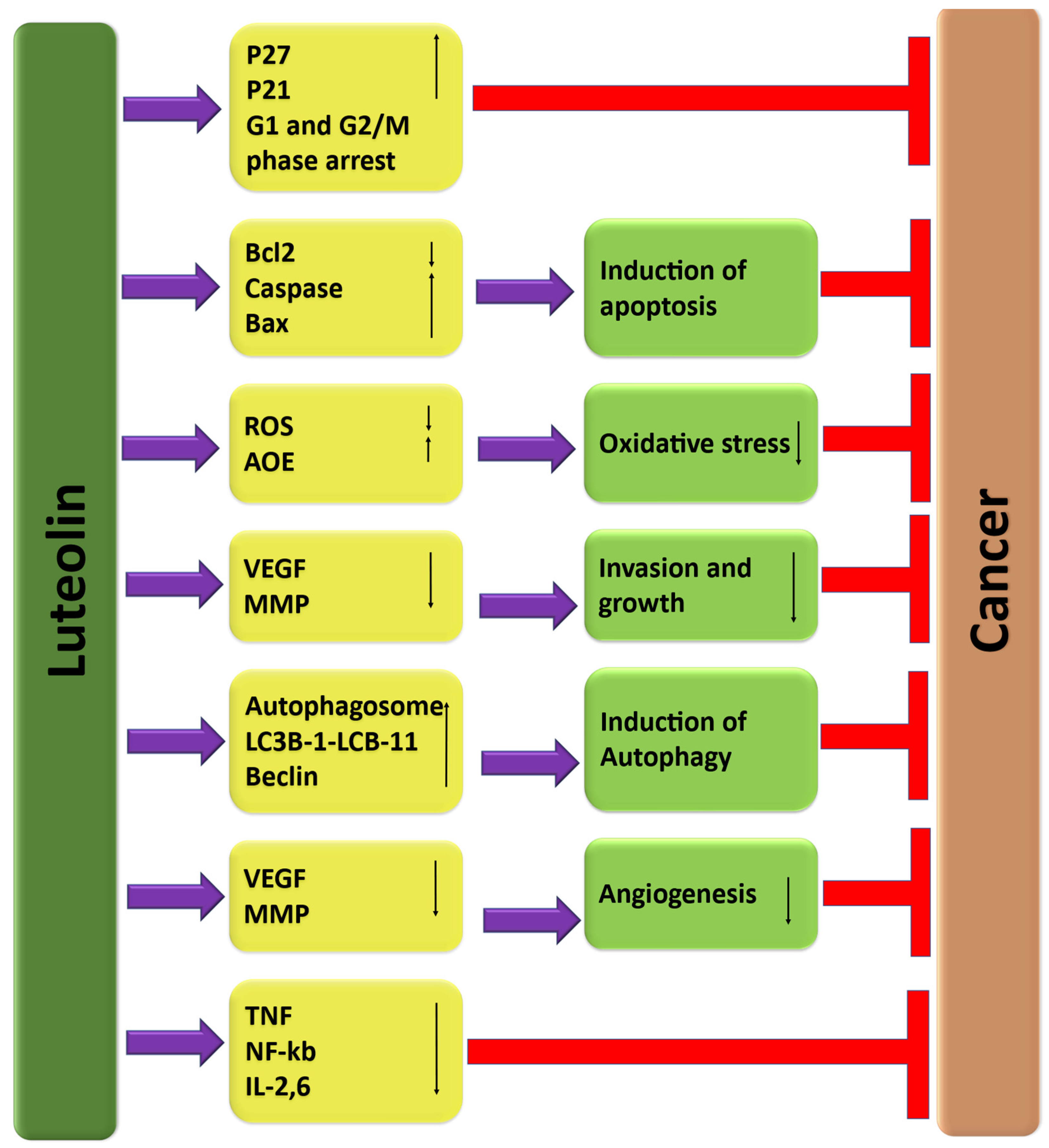Molecules 29 01093 g003