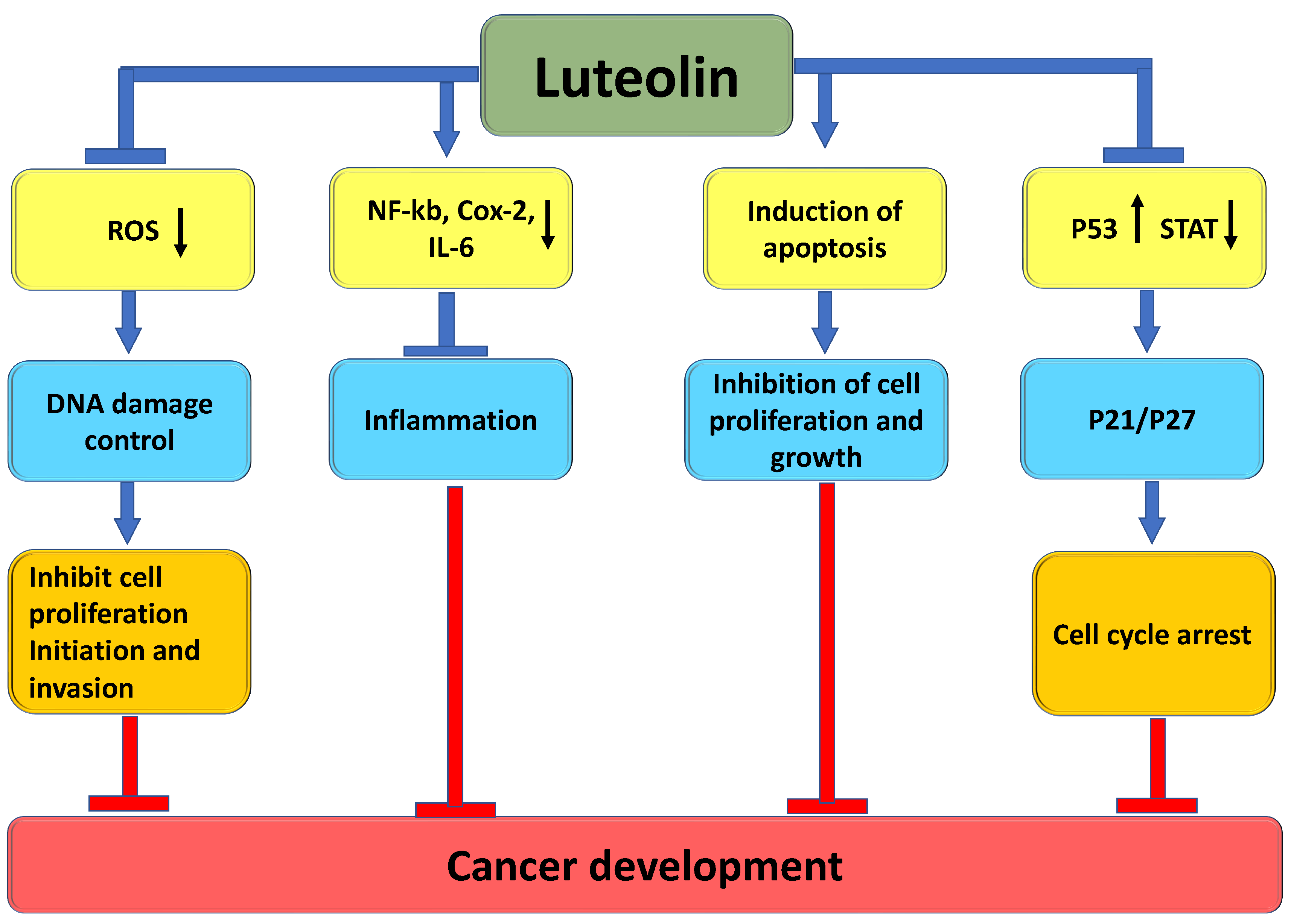 Molecules 29 01093 g004