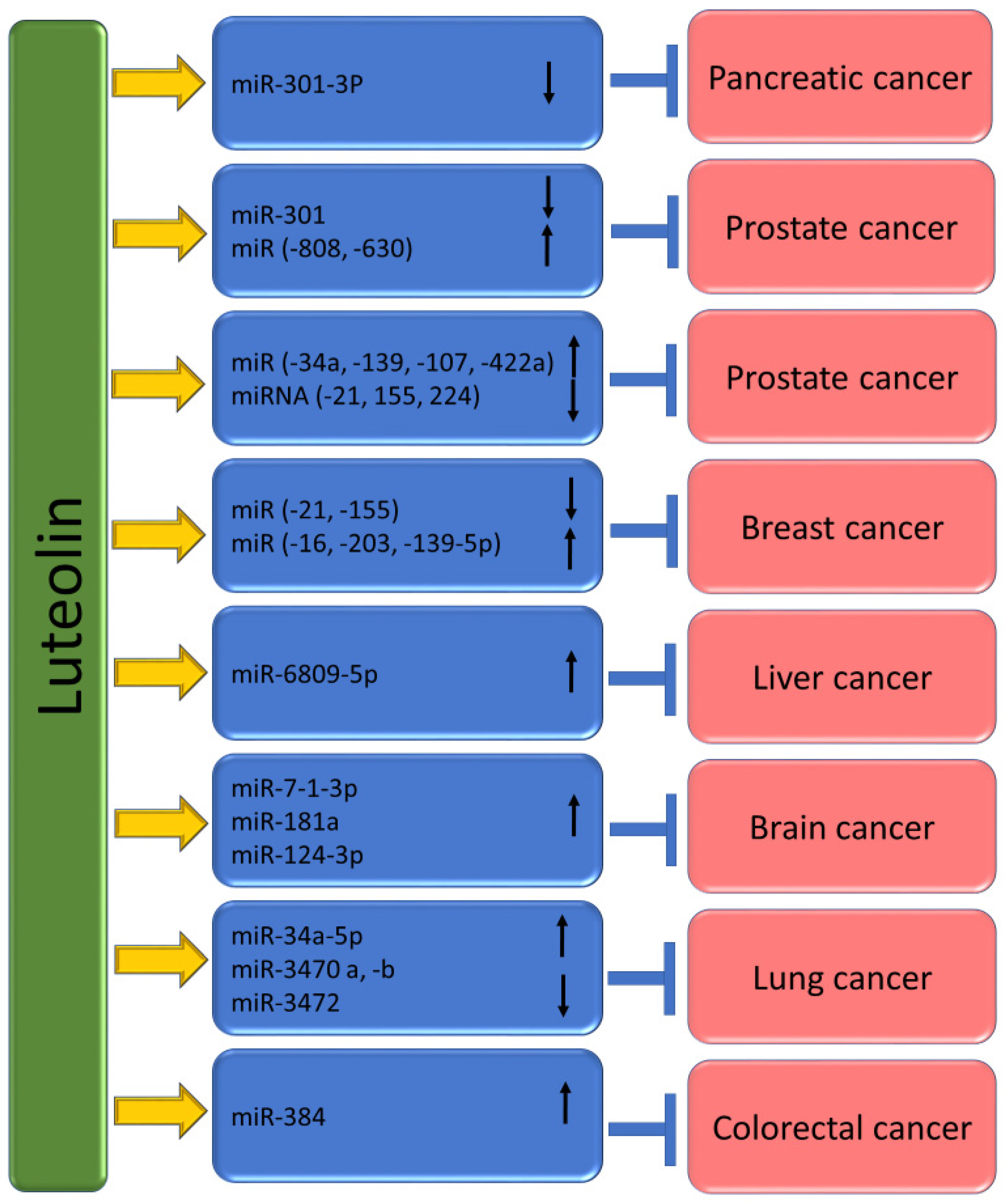 Molecules 29 01093 g006