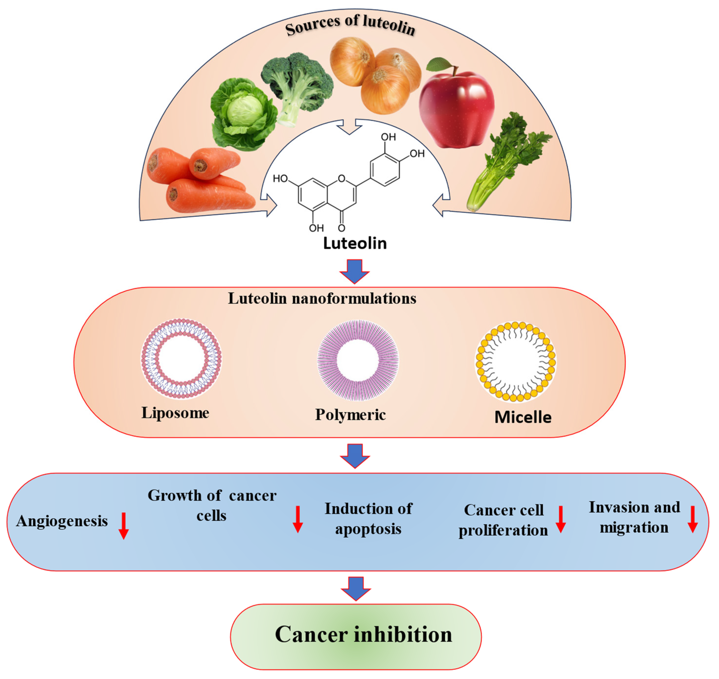 Molecules 29 01093 g007