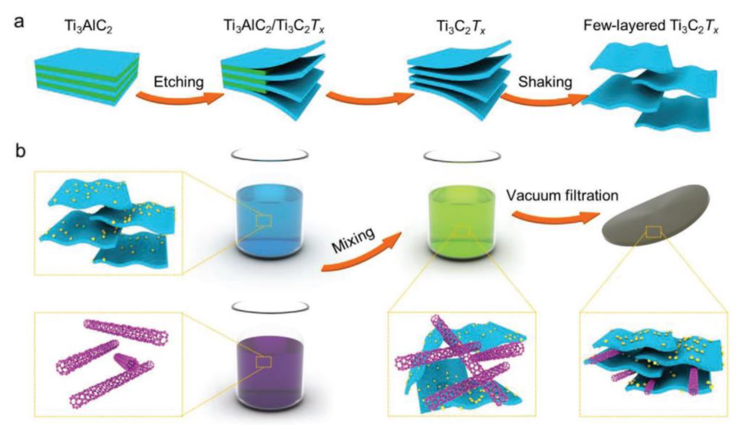 Molecules 29 01286 g003