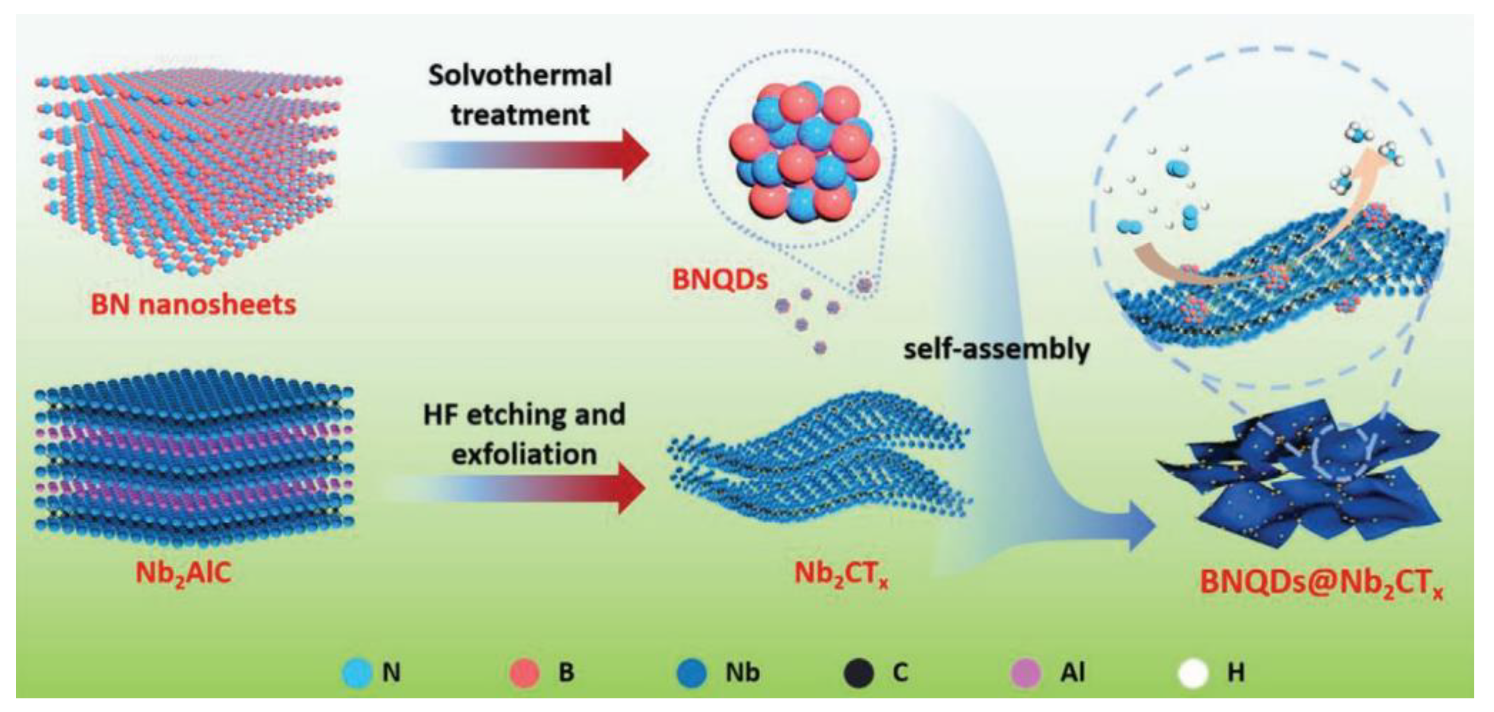 Molecules 29 01286 g005