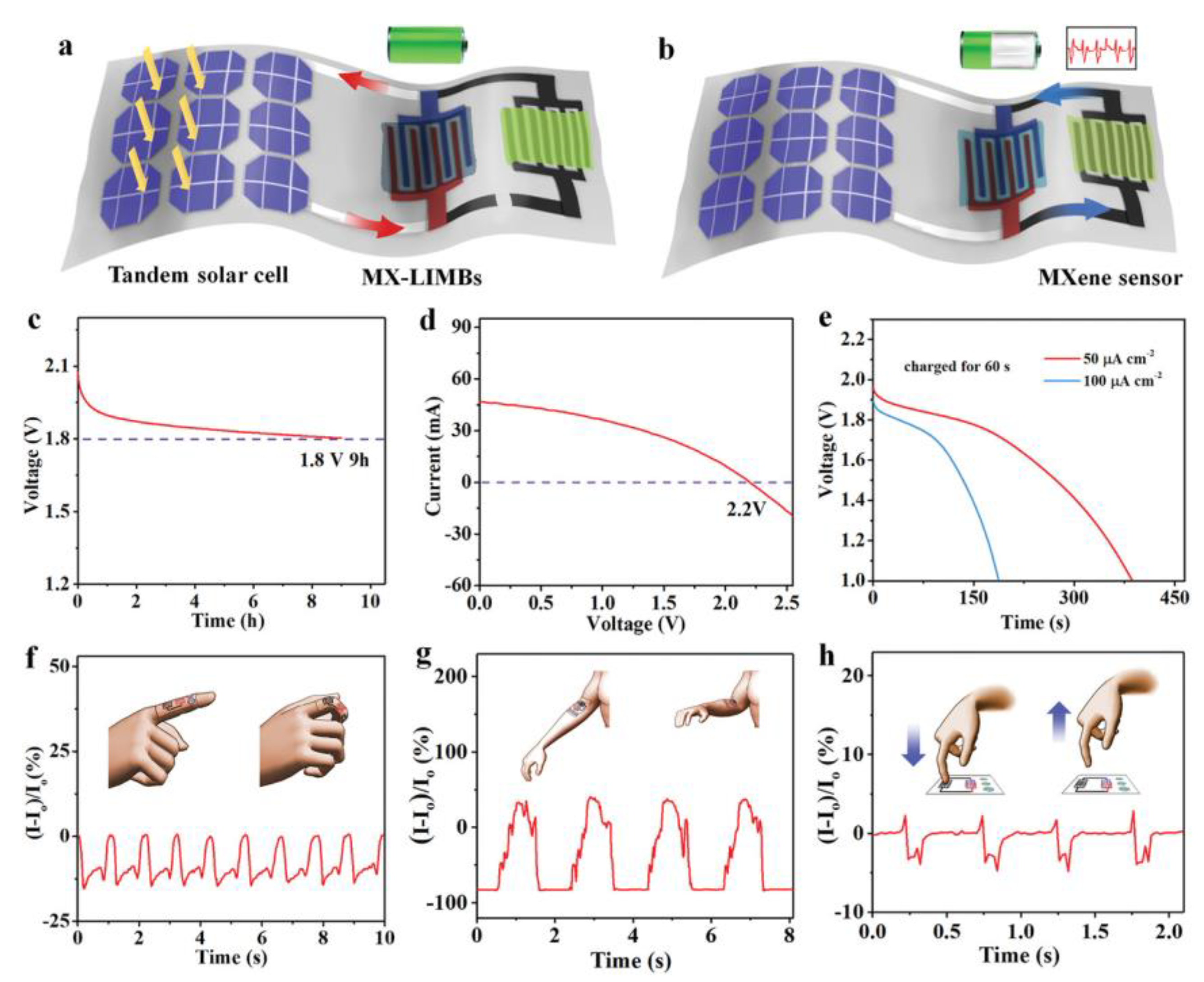 Molecules 29 01286 g007