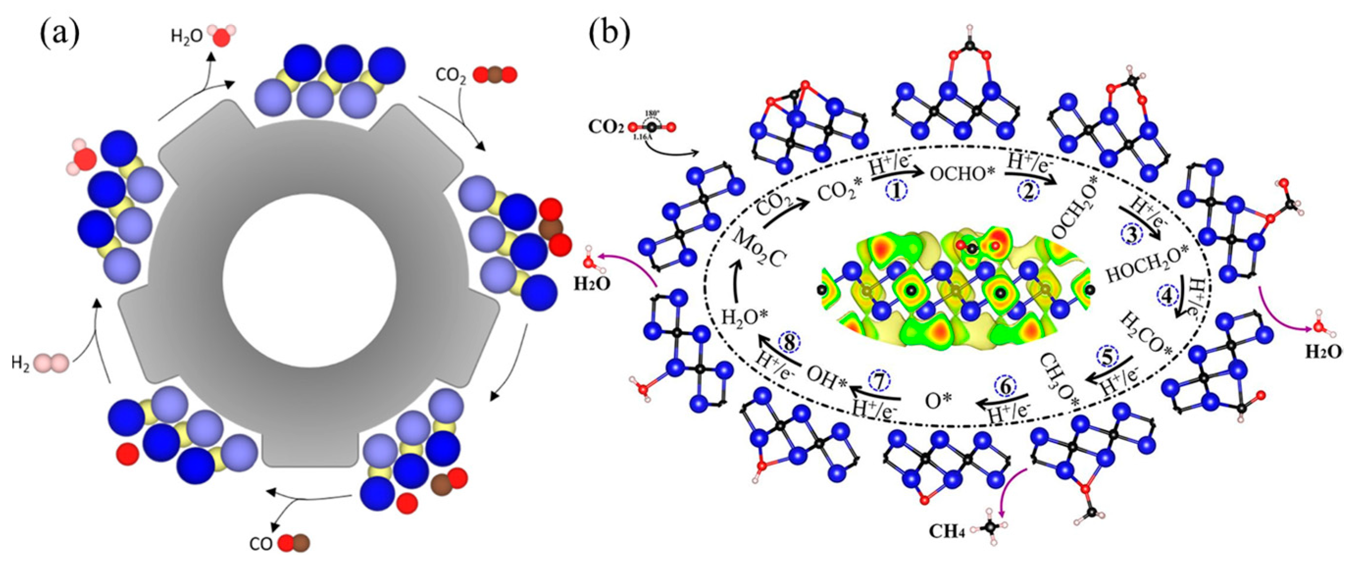 Molecules 29 01286 g008