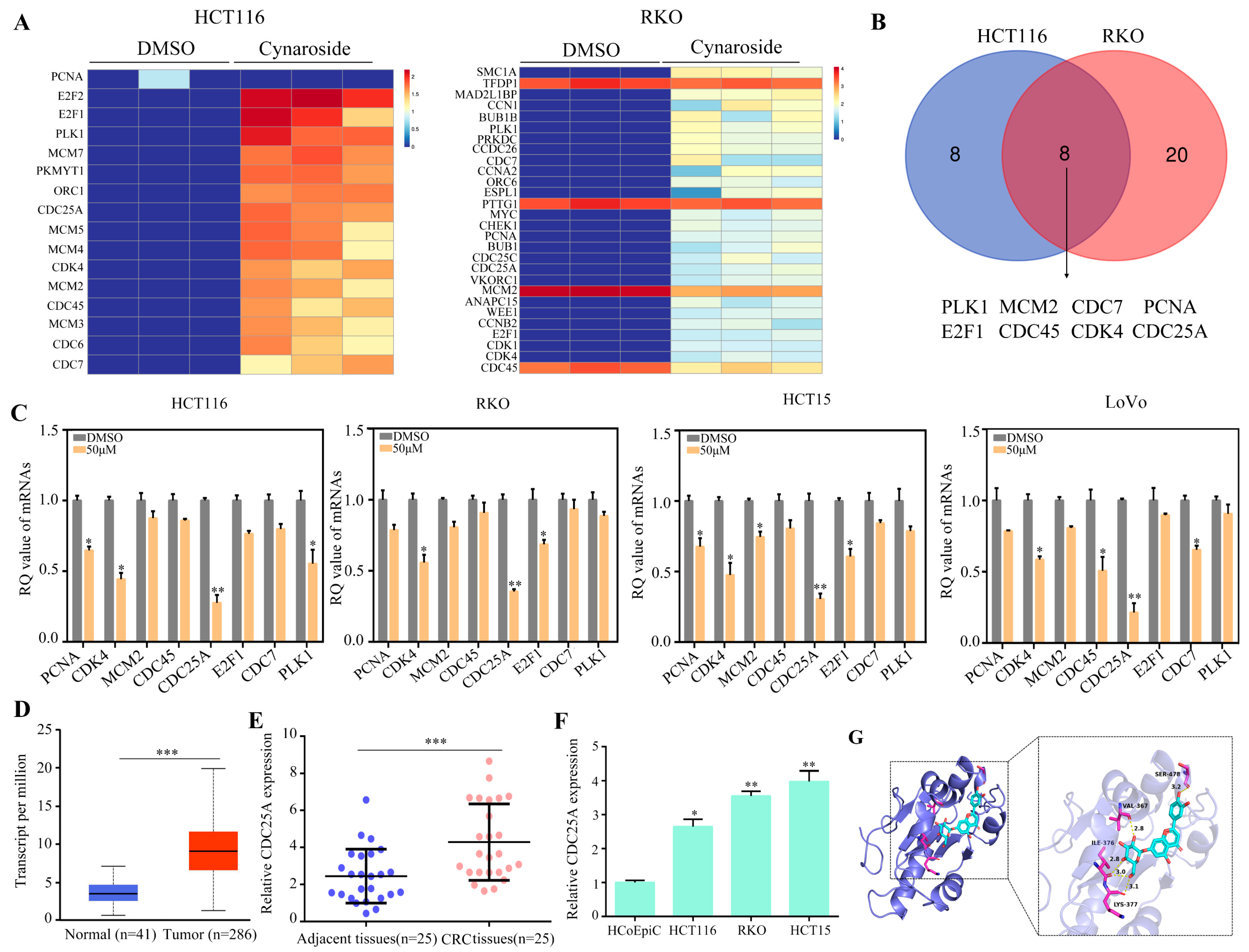 Molecules 29 01508 g004