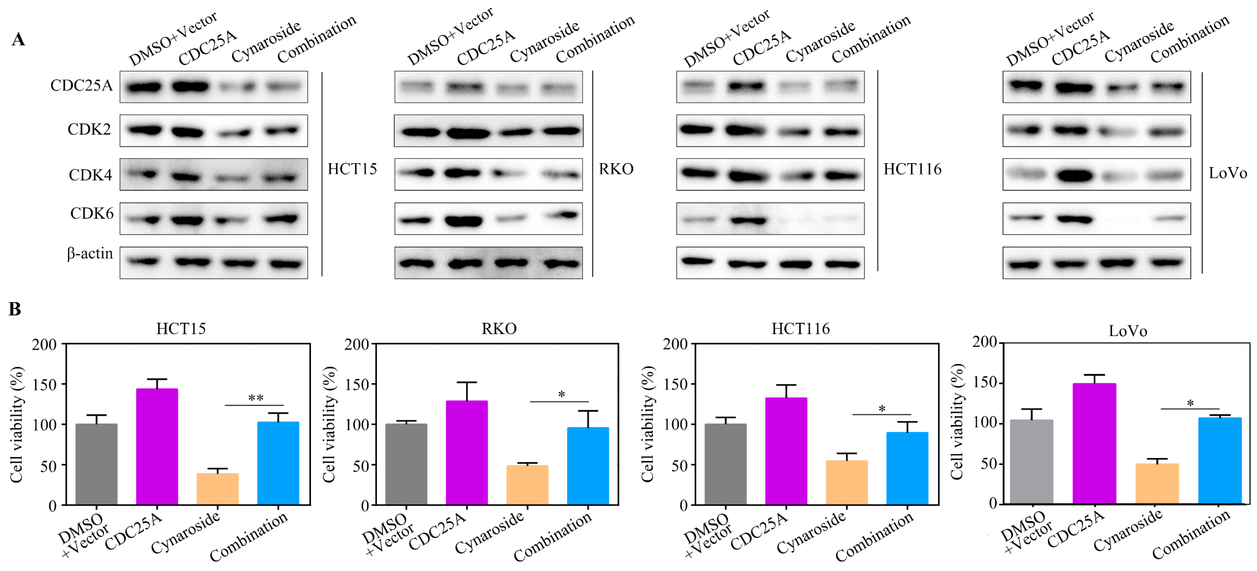 Molecules 29 01508 g006