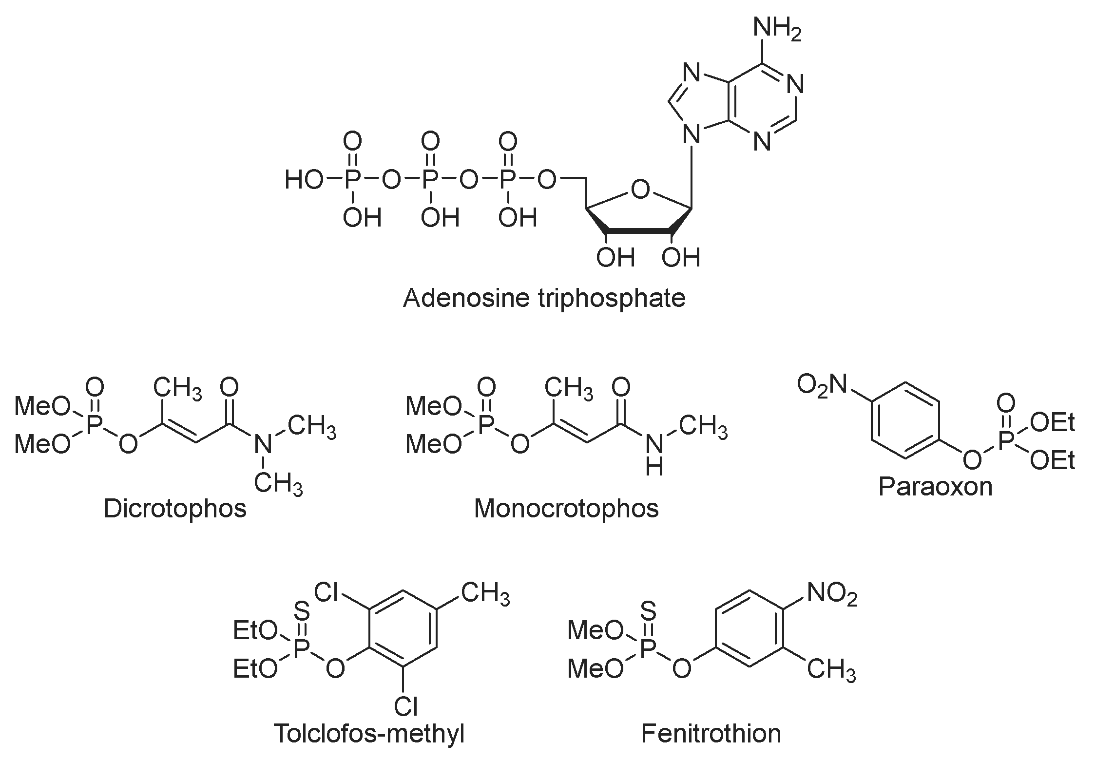 Molecules 29 01593 sch001