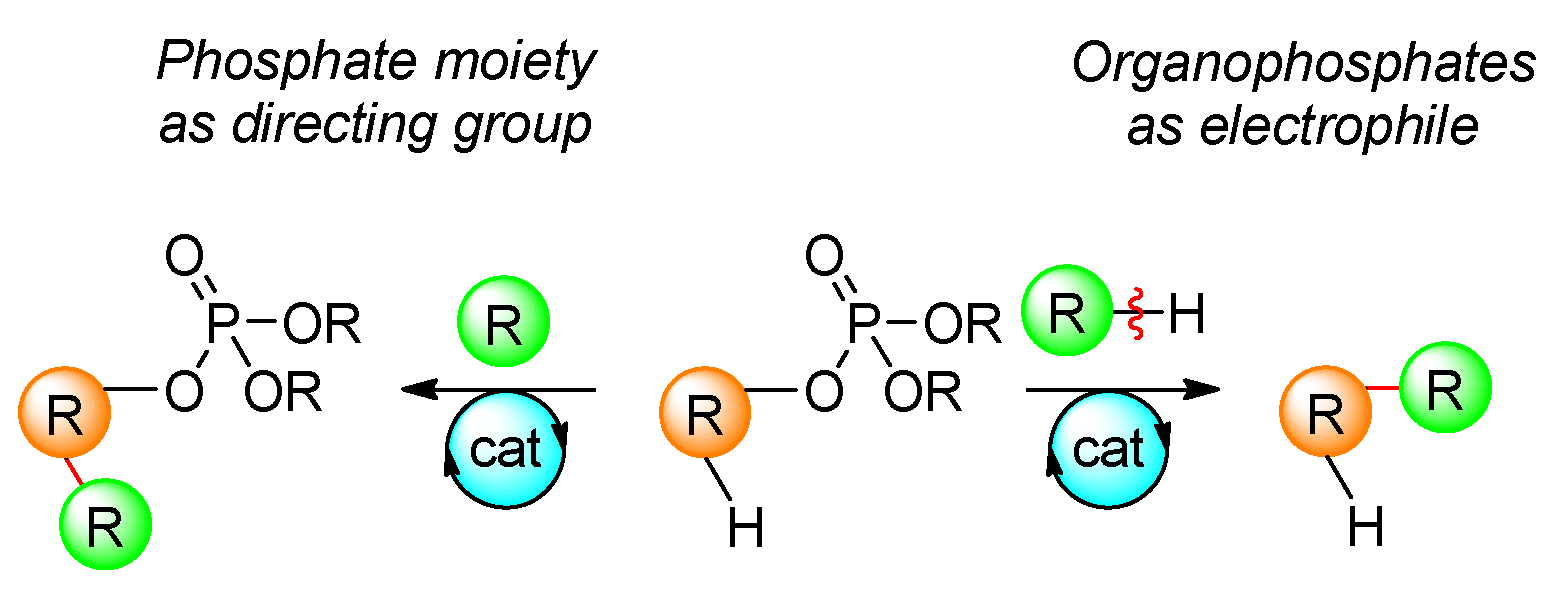 Molecules 29 01593 sch022