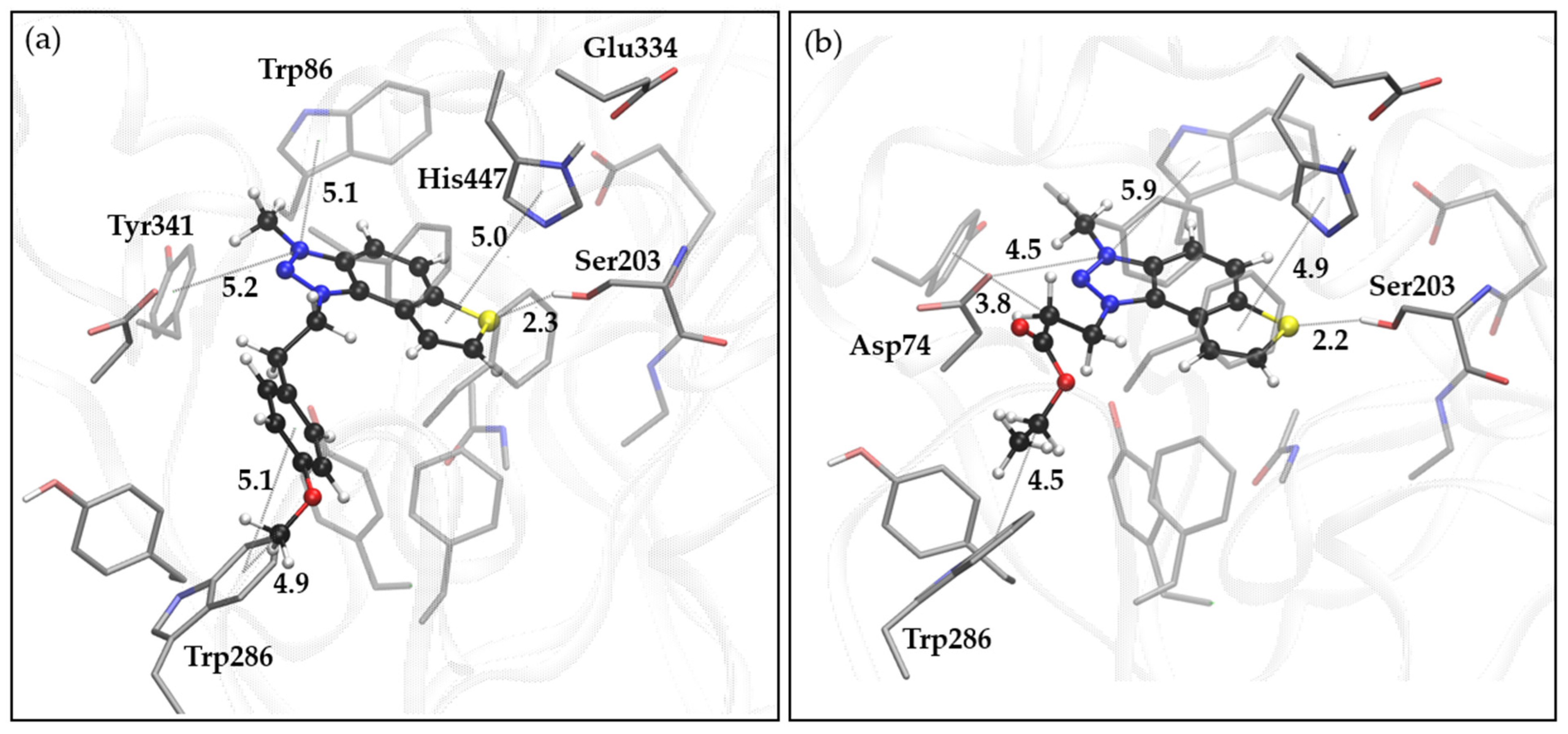 Molecules 29 01622 g006 Molecules 29 01622 g006