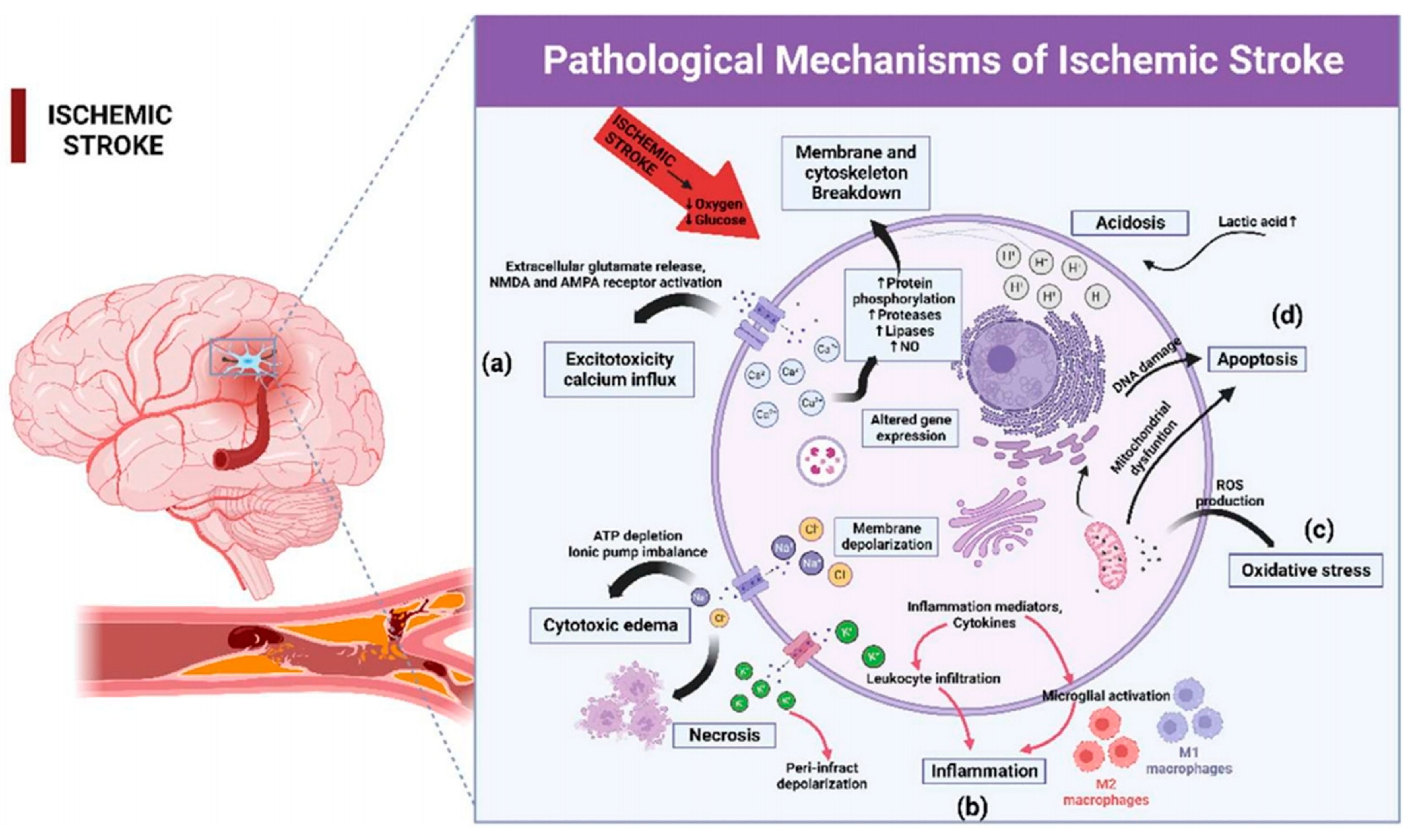 Molecules 29 01848 g001