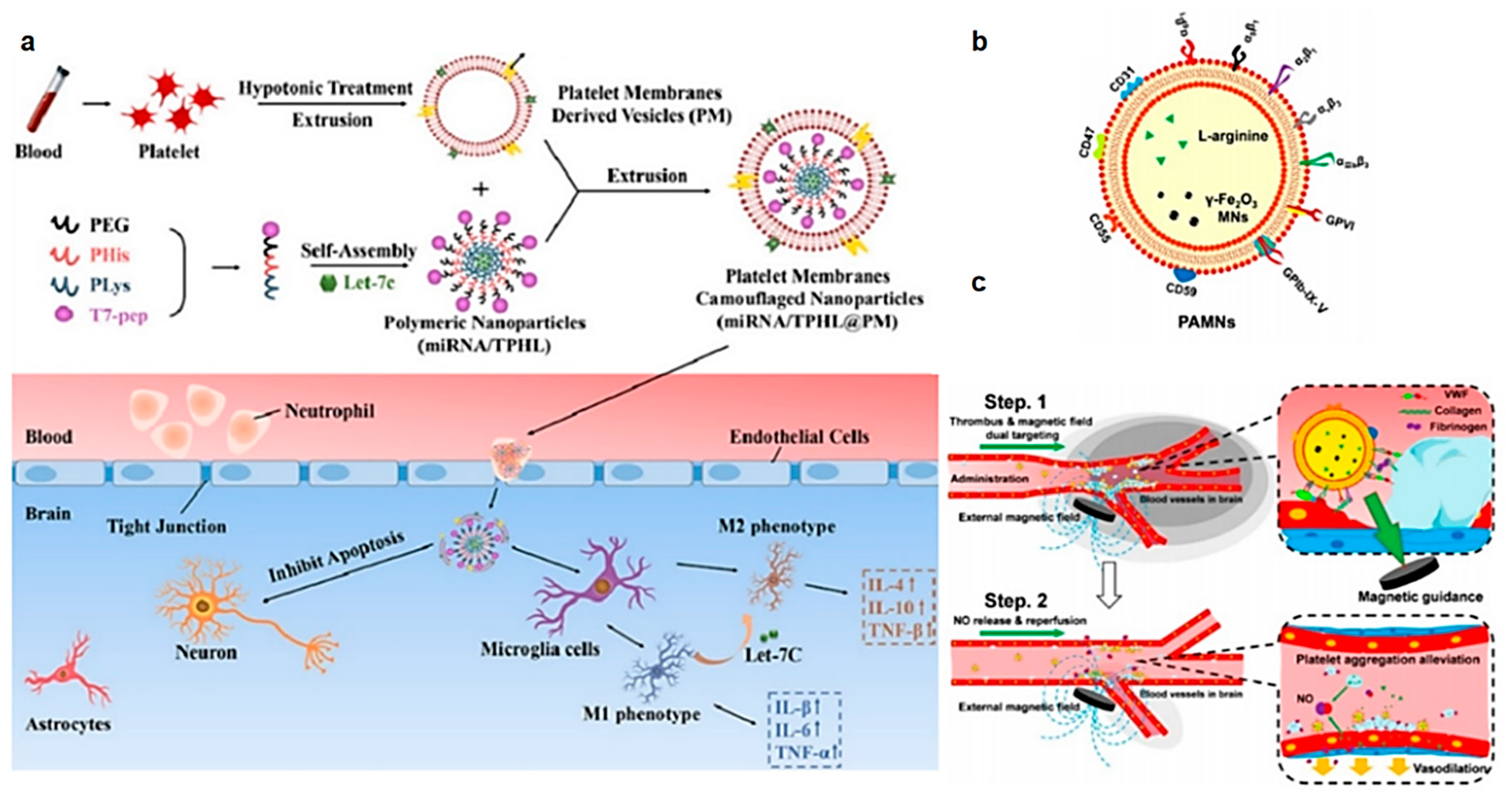Molecules 29 01848 g007