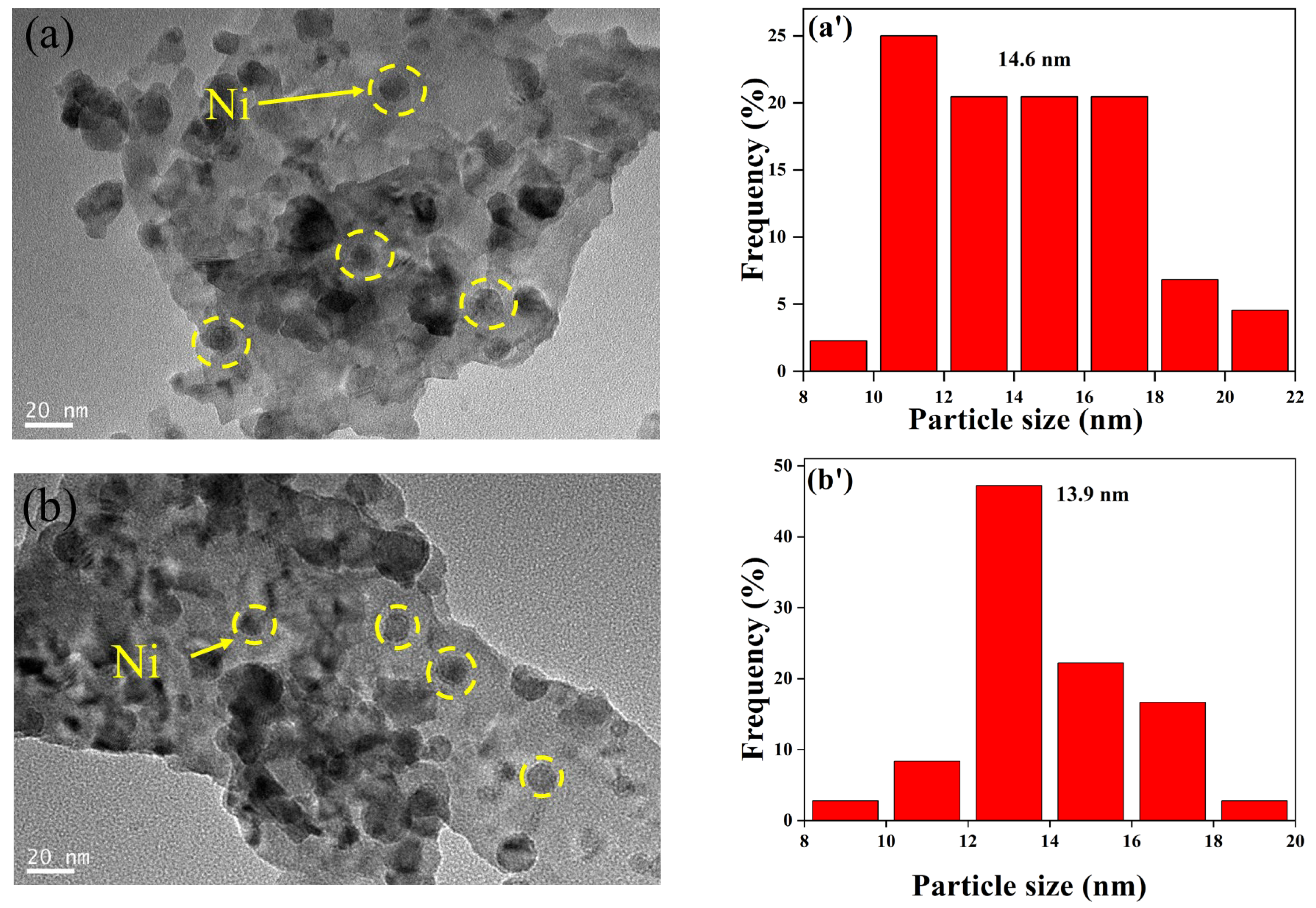 Molecules 29 01871 g011a Molecules 29 01871 g011a
