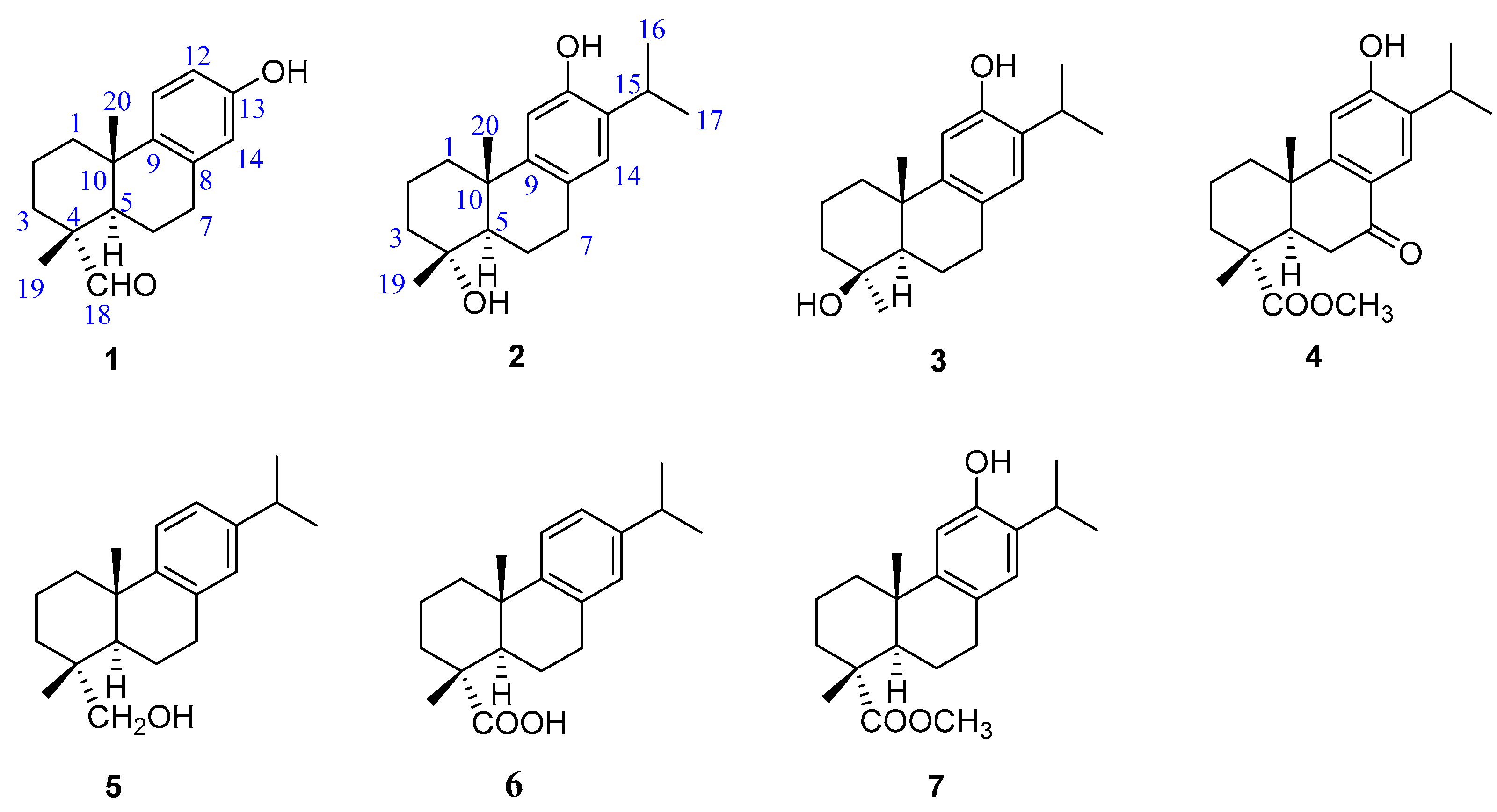 Molecules 29 01905 g001