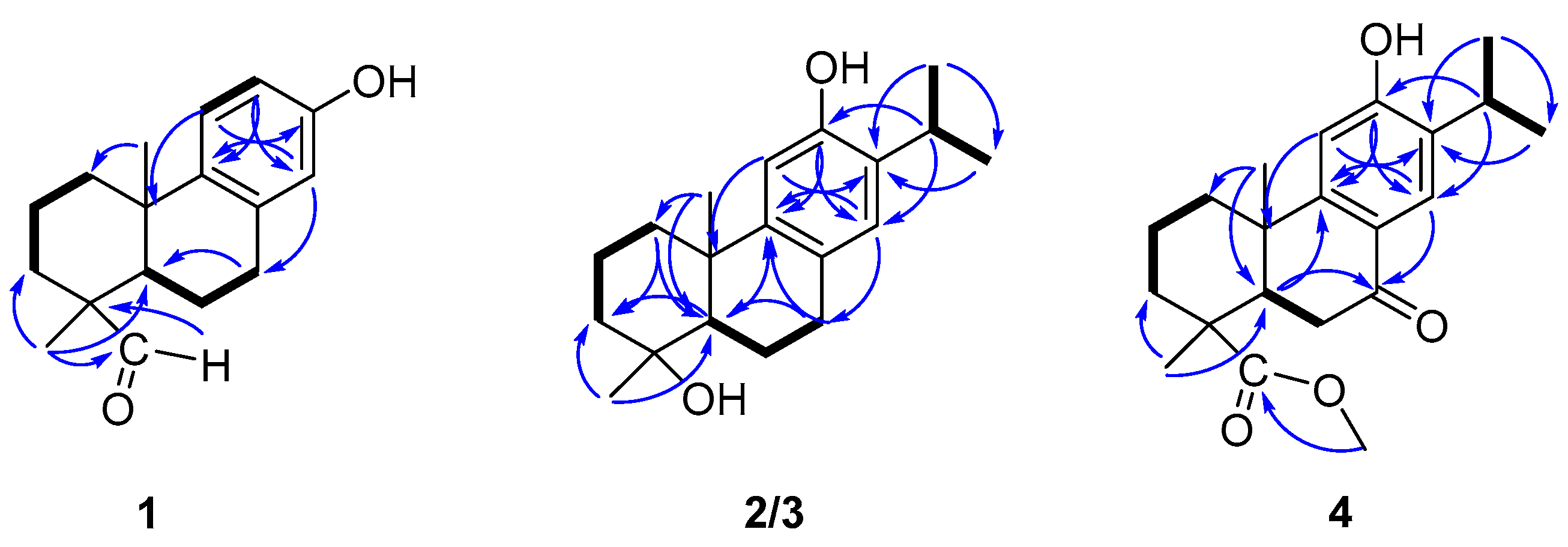 Molecules 29 01905 g002