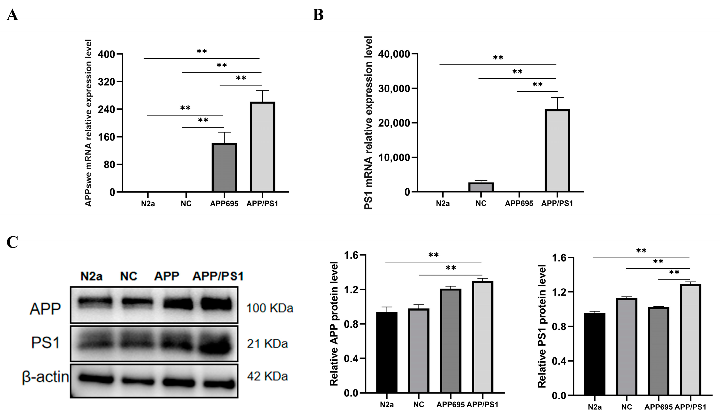 Molecules 29 01907 g002