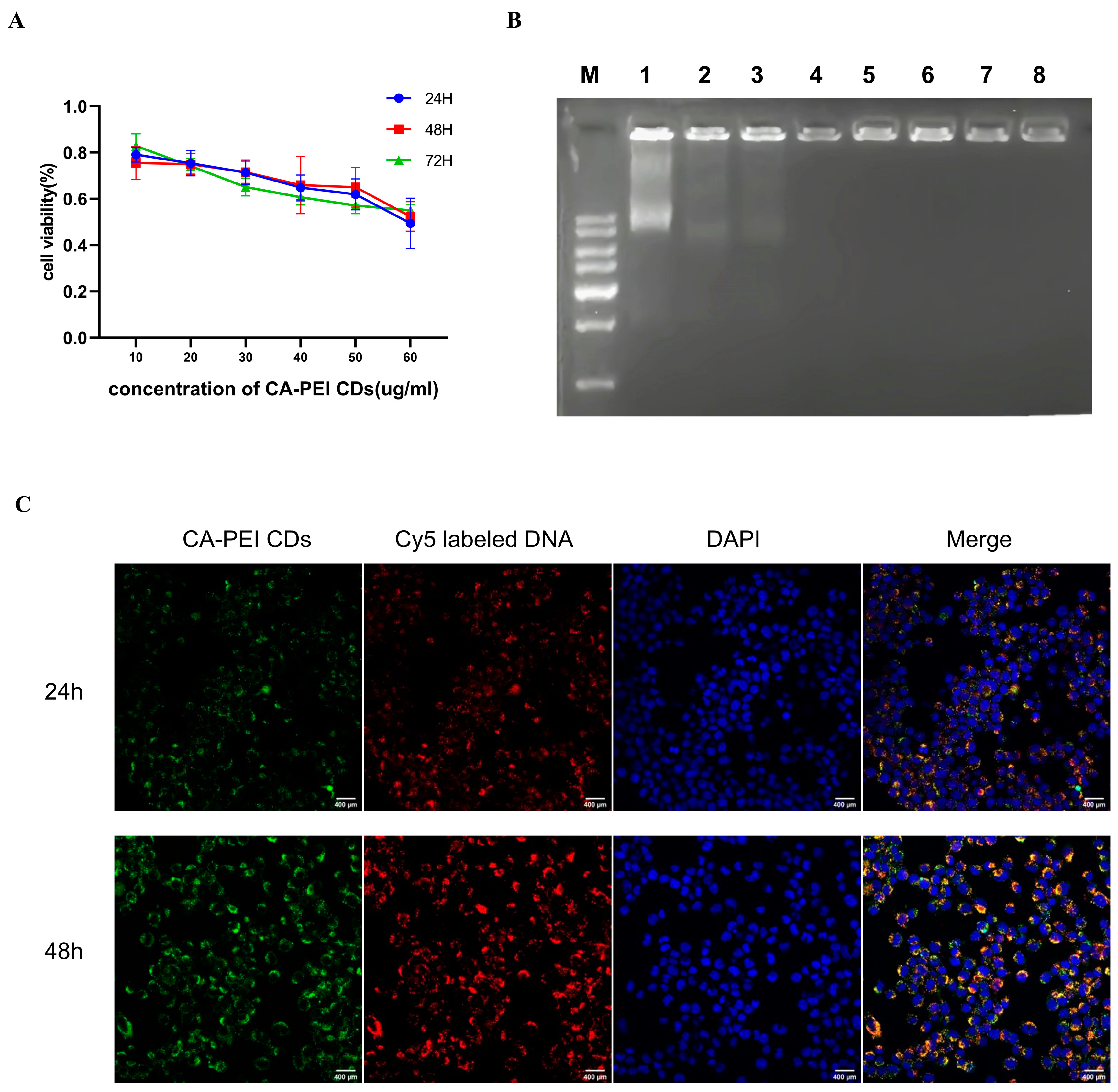 Molecules 29 01907 g003