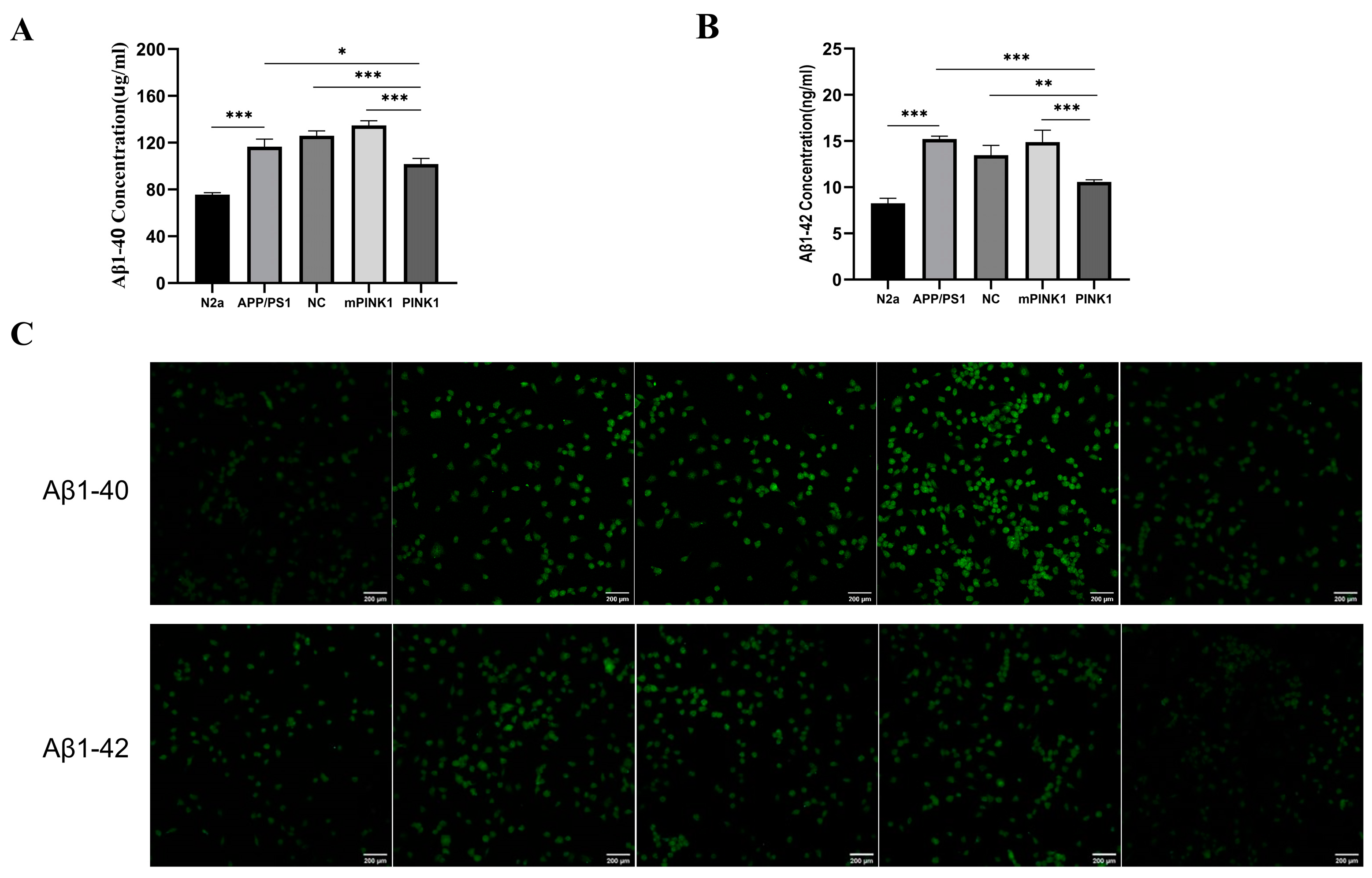 Molecules 29 01907 g006