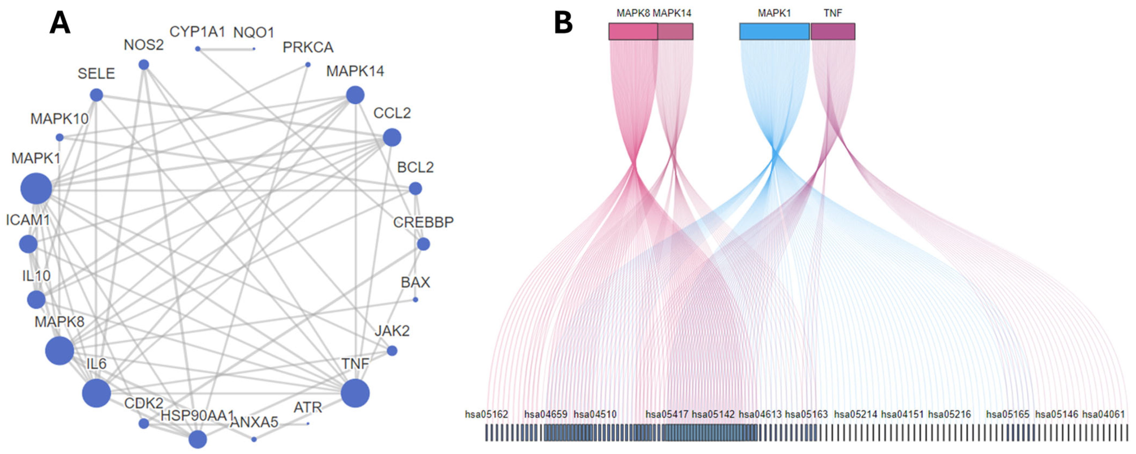 Molecules 29 01927 g002