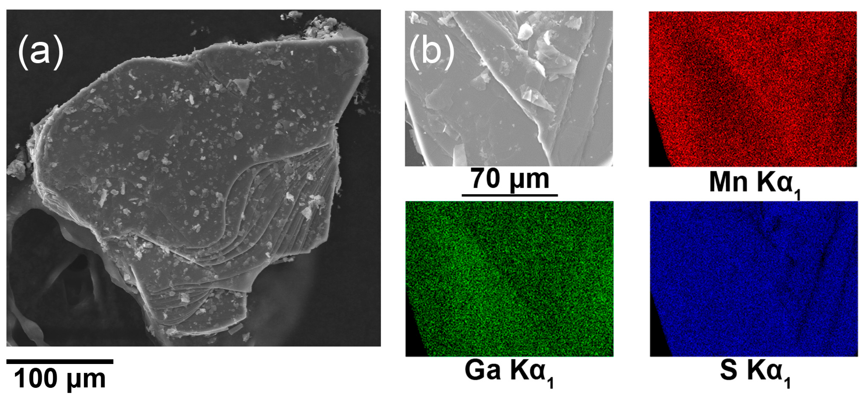 Molecules 29 02026 g001