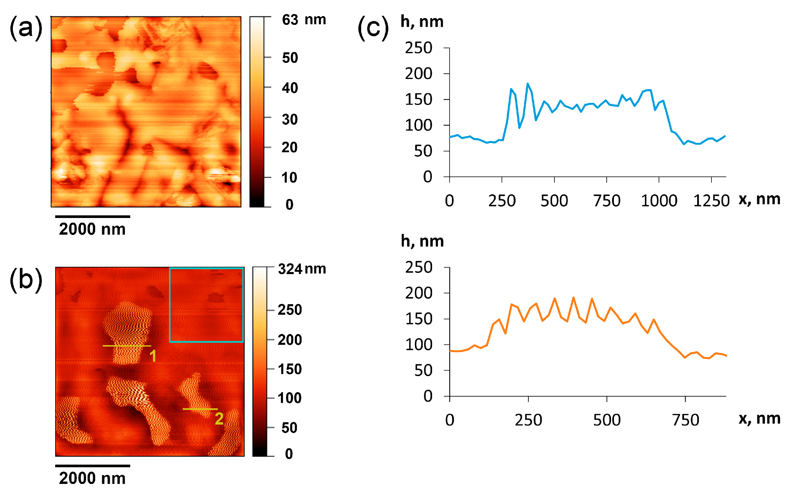Molecules 29 02026 g008