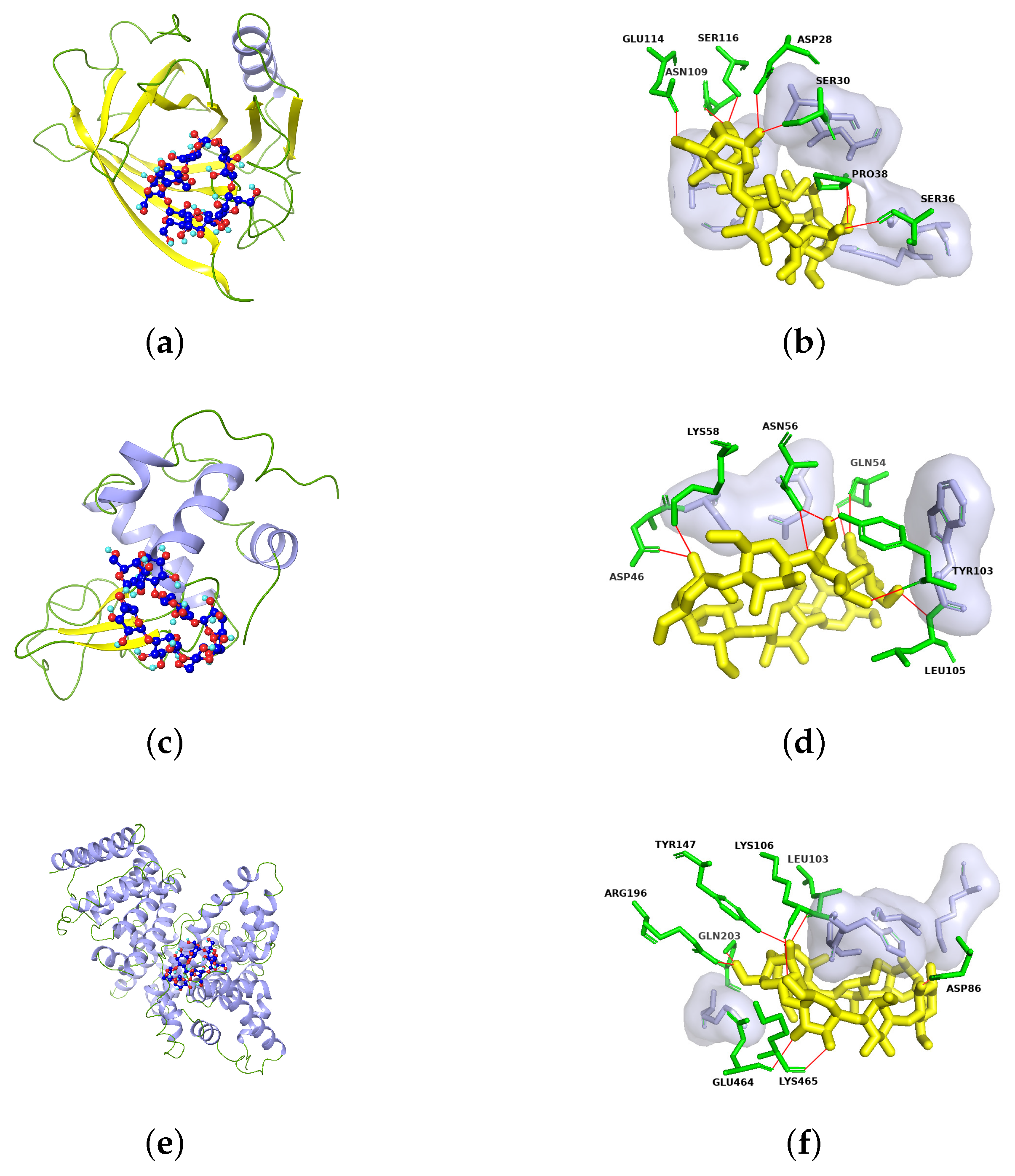 Molecules 29 02046 g002