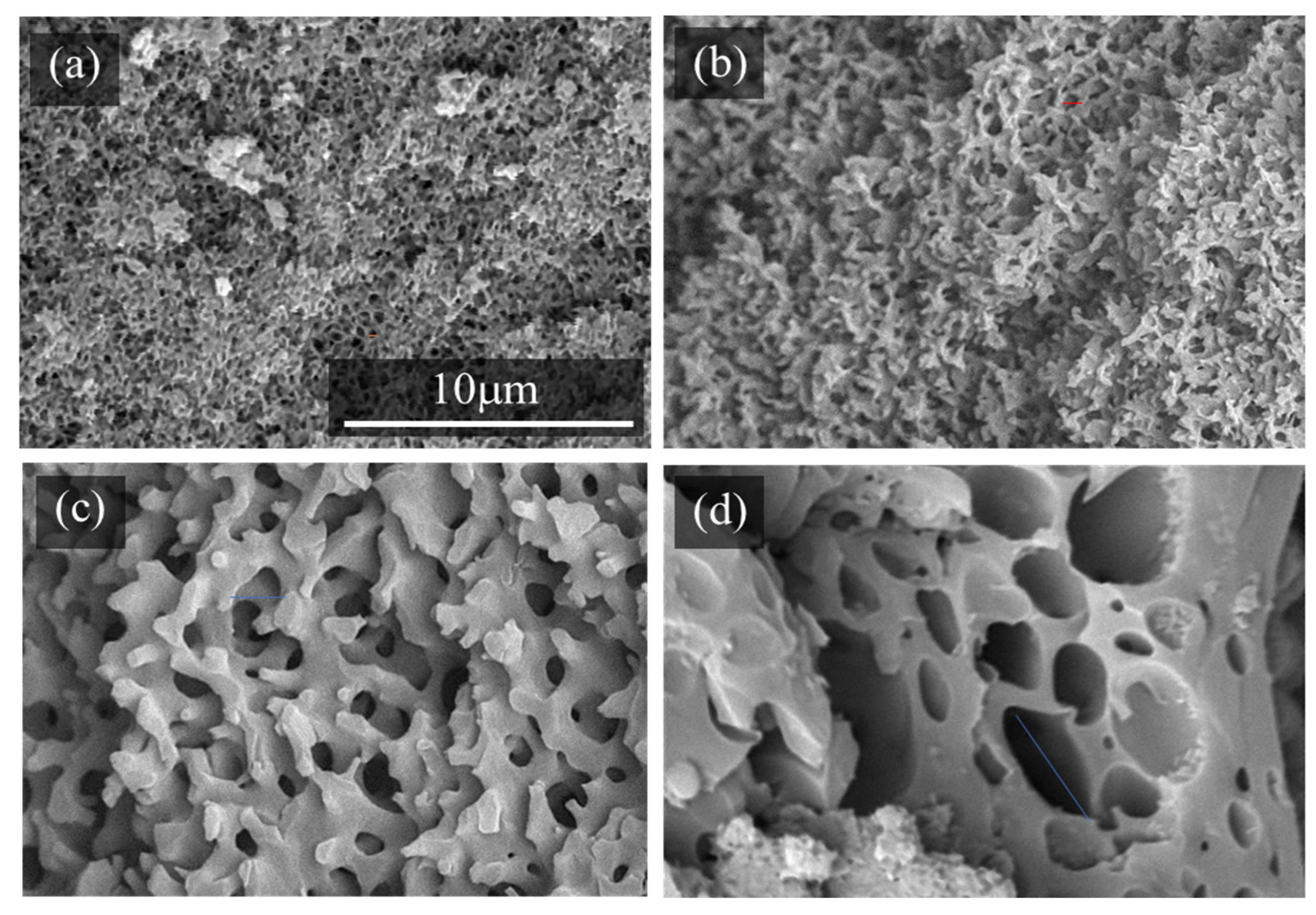 Molecules 29 02059 g003