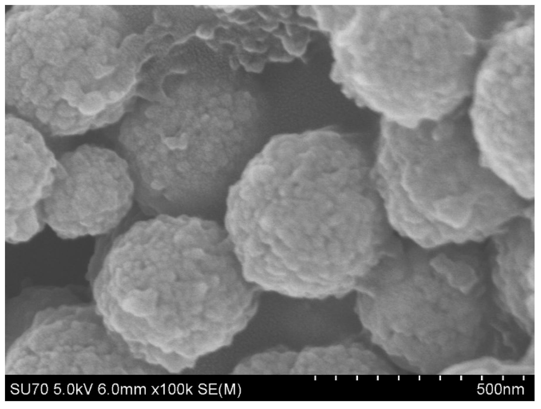 Molecules 29 02060 g004