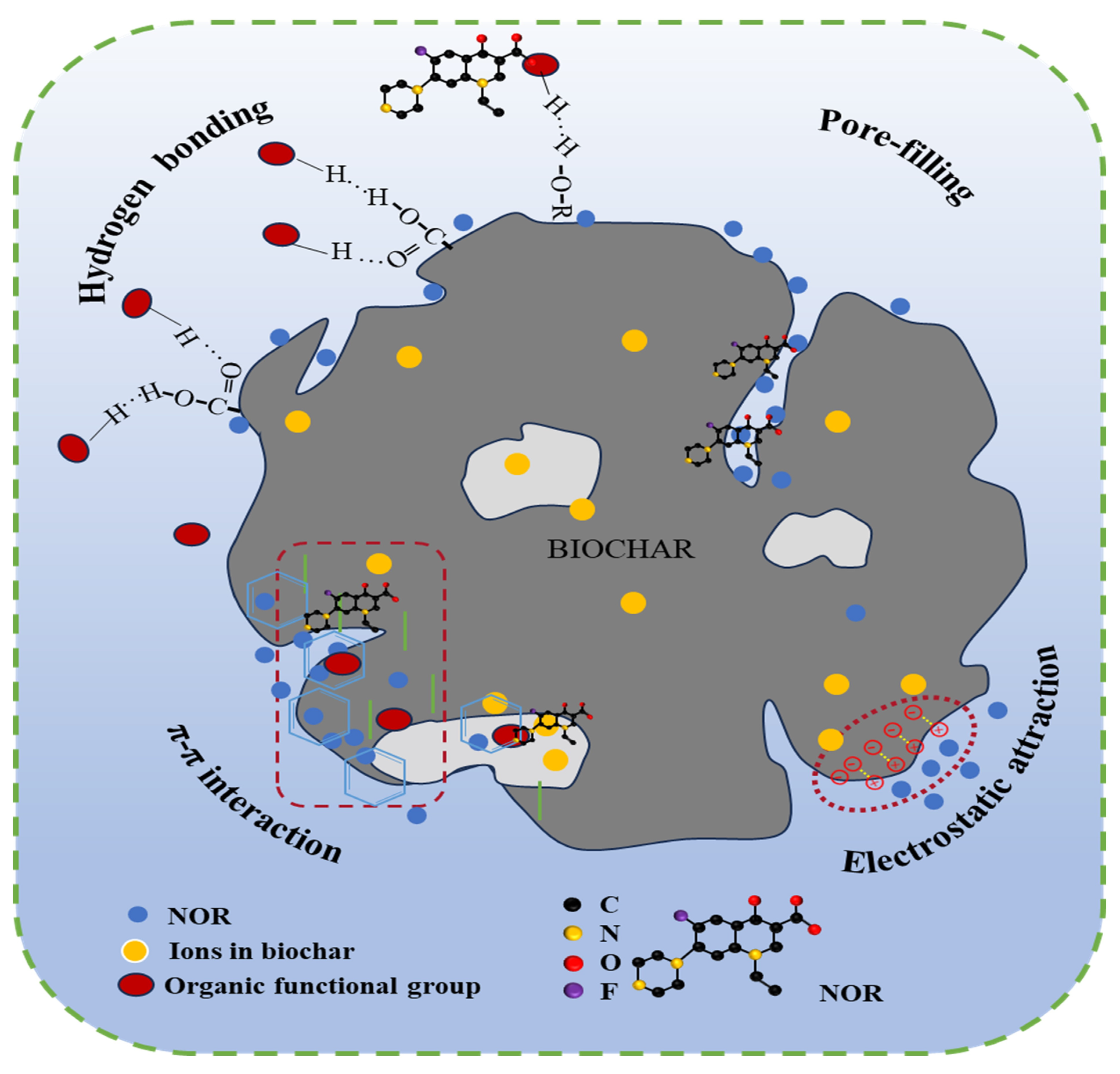 Molecules 29 02063 g005