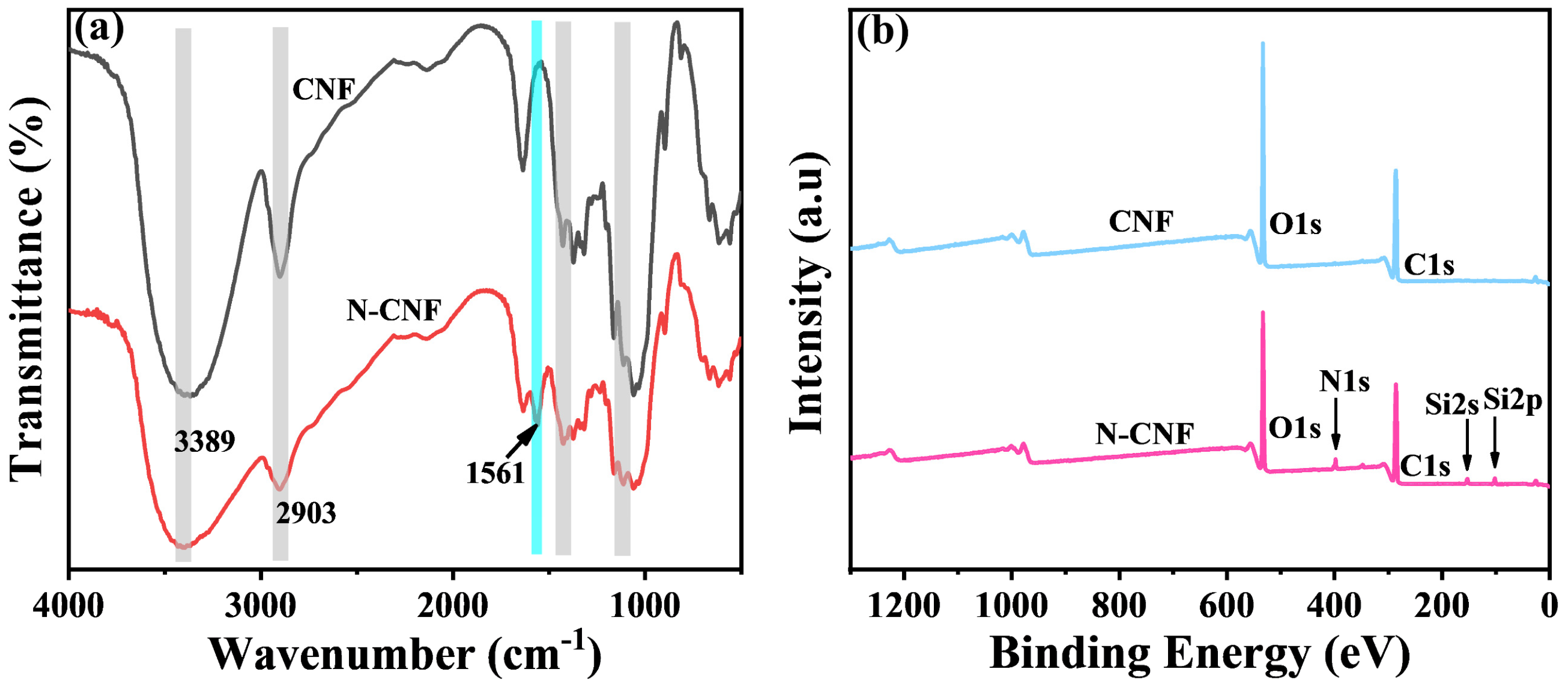 Molecules 29 02065 g001