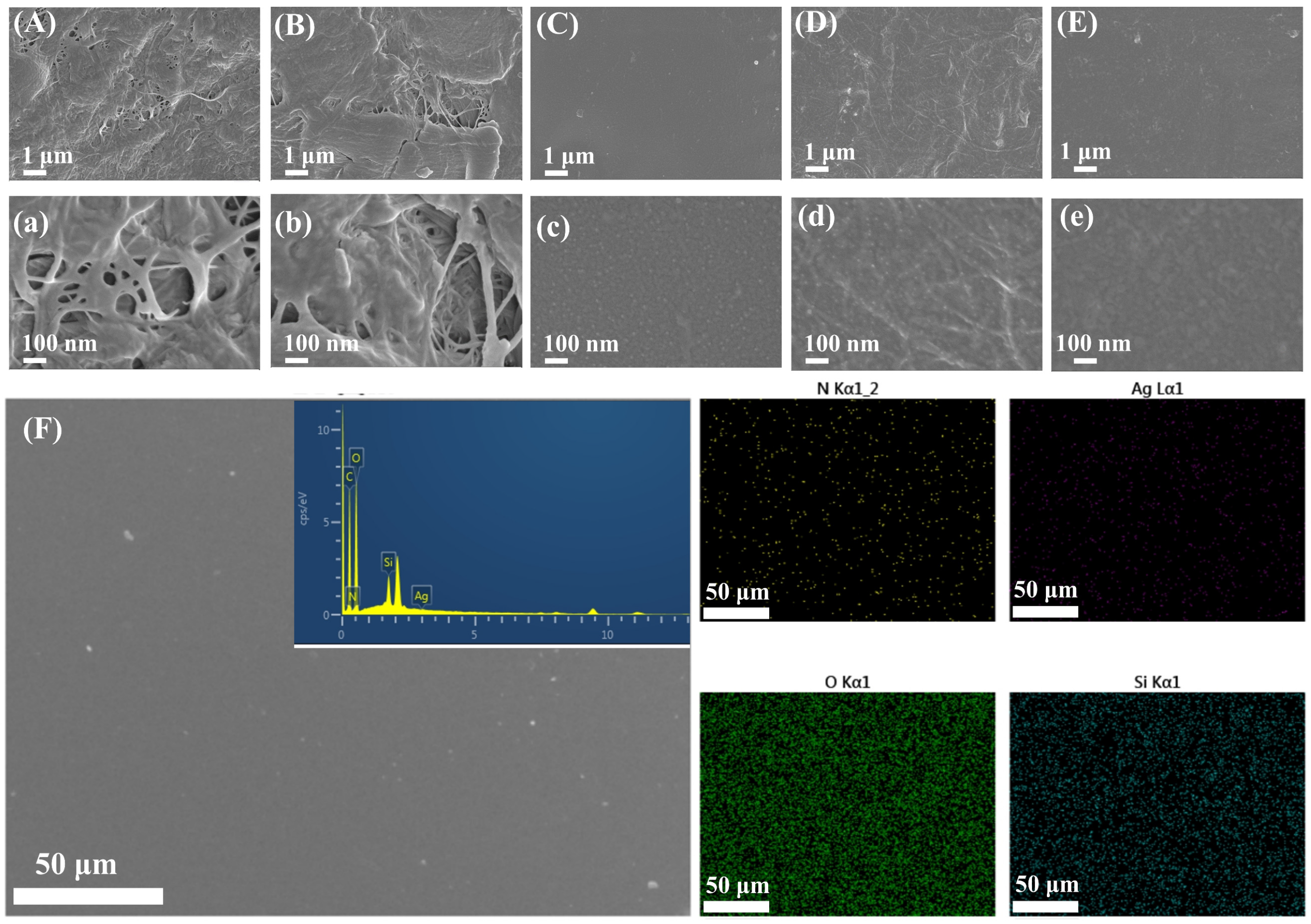 Molecules 29 02065 g002