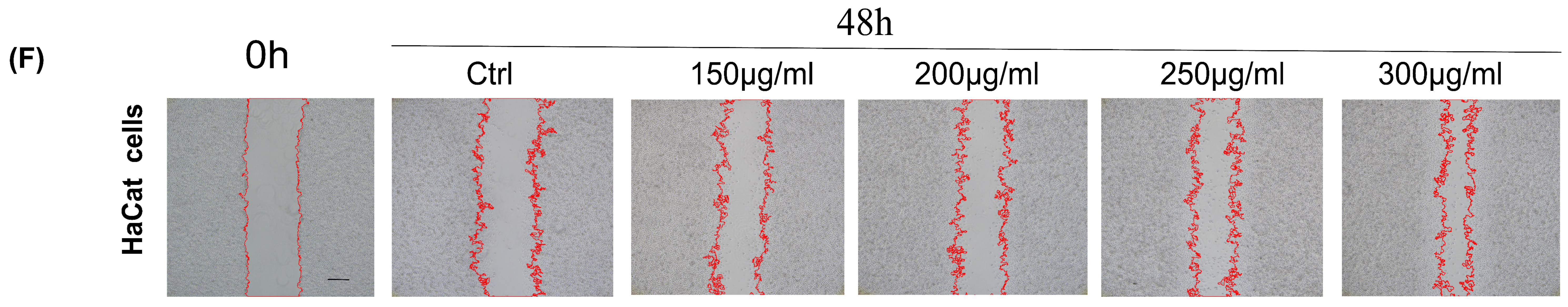 Molecules 29 02080 g003b