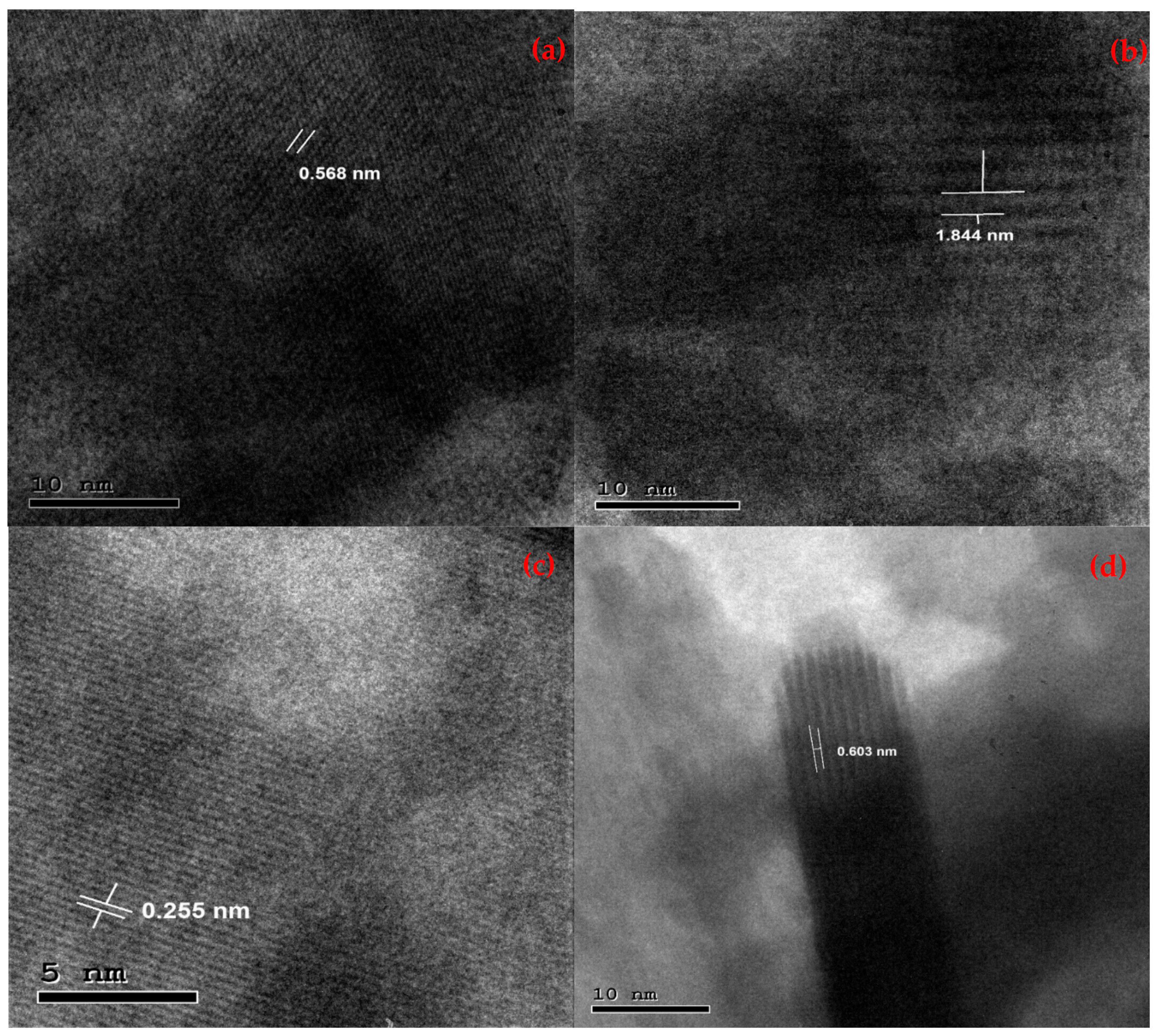 Molecules 29 02082 g004 Molecules 29 02082 g004