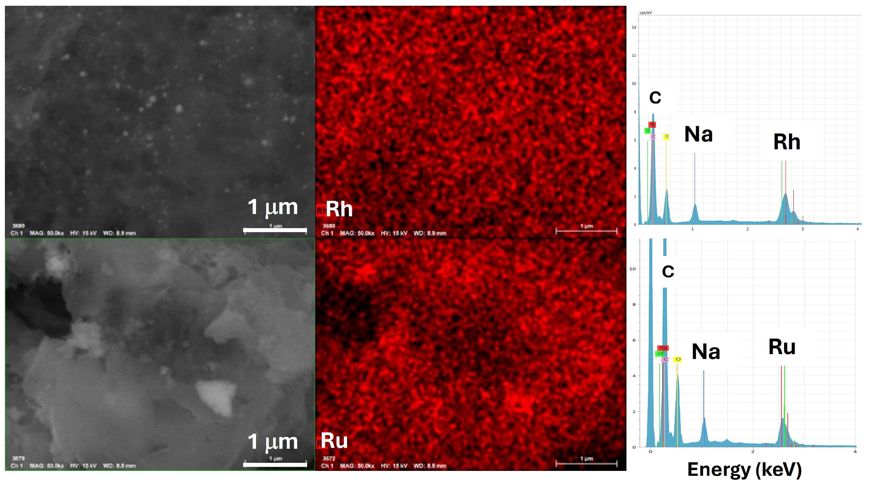 Molecules 29 02083 g003