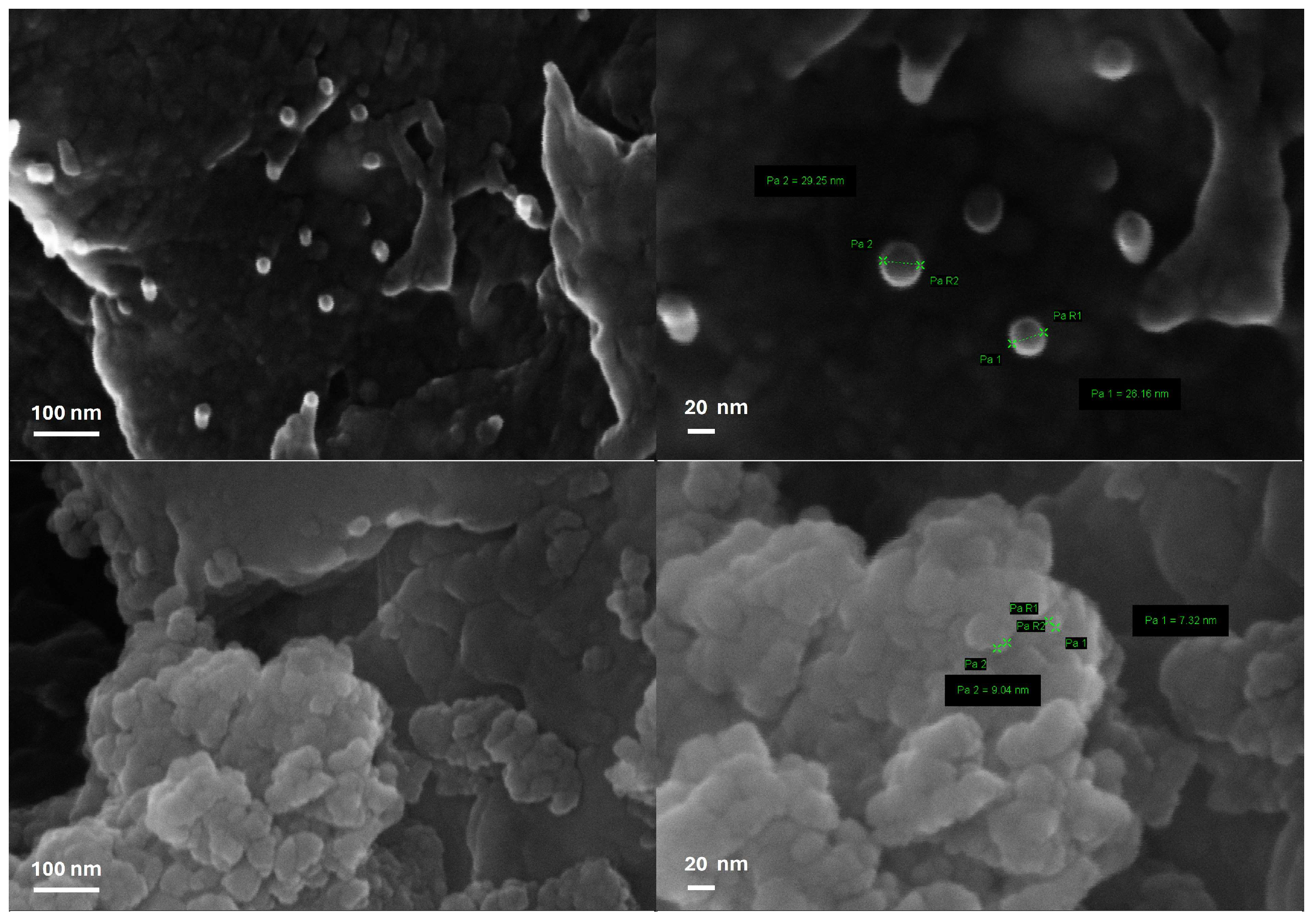Molecules 29 02083 g004