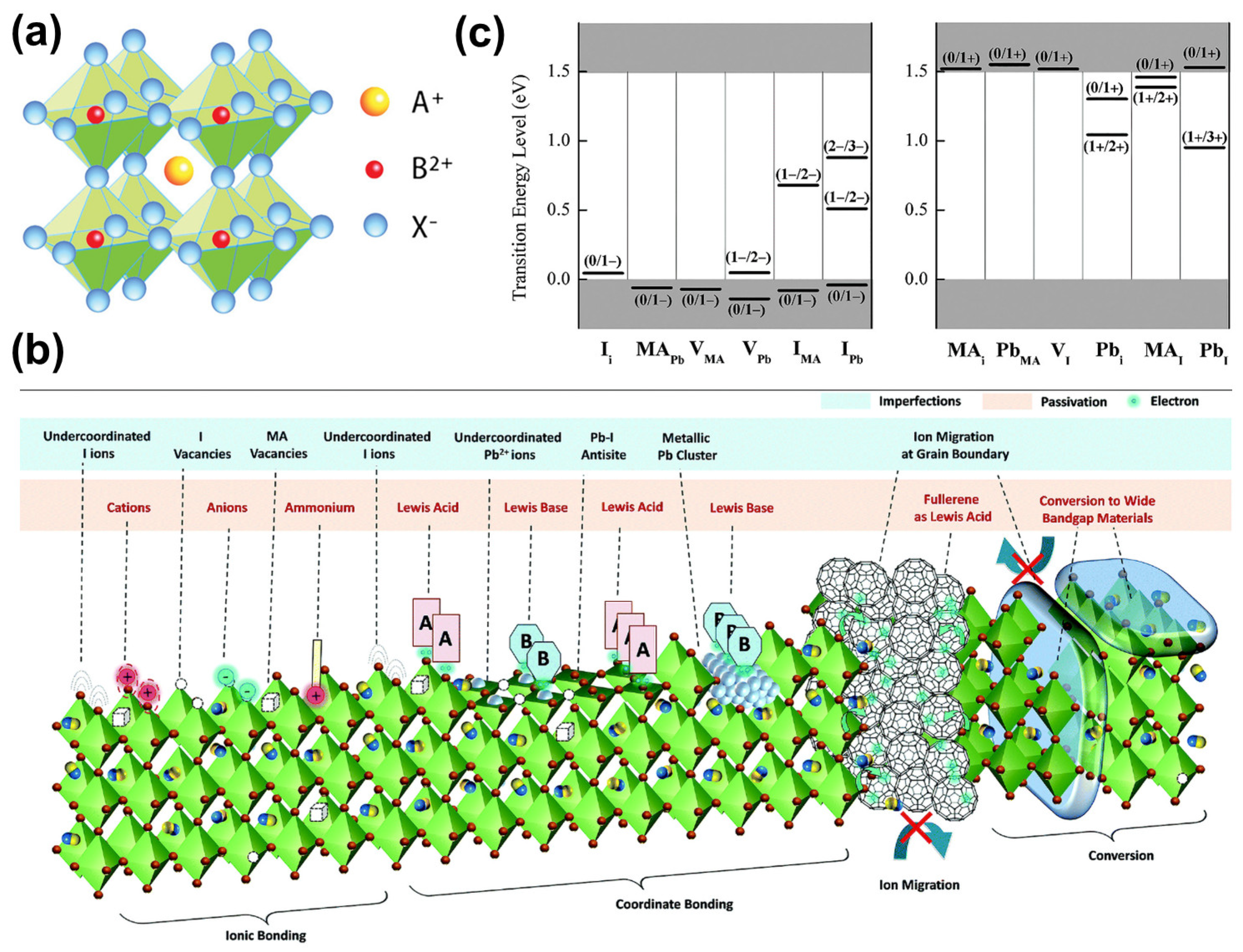 Molecules 29 02104 g001