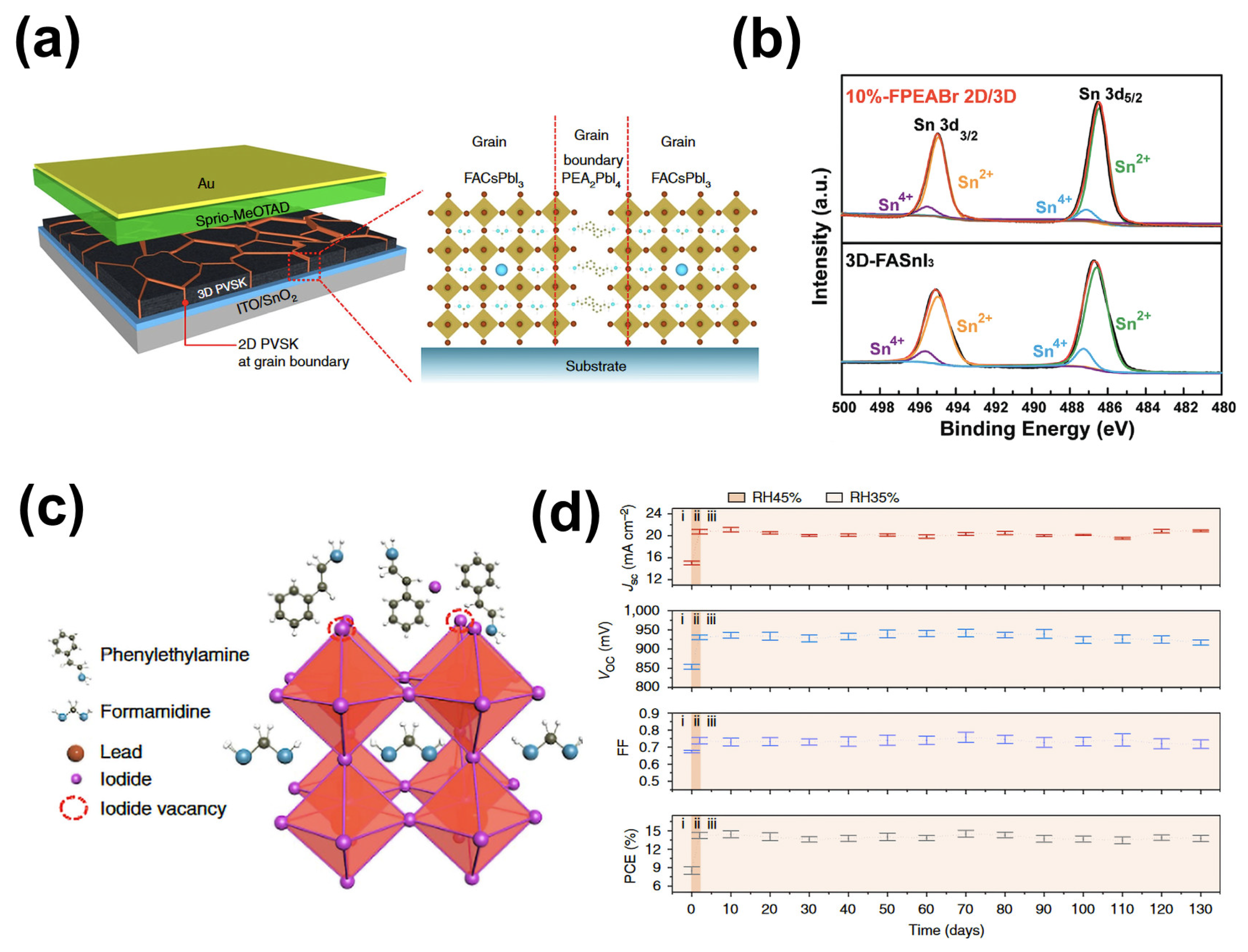 Molecules 29 02104 g005