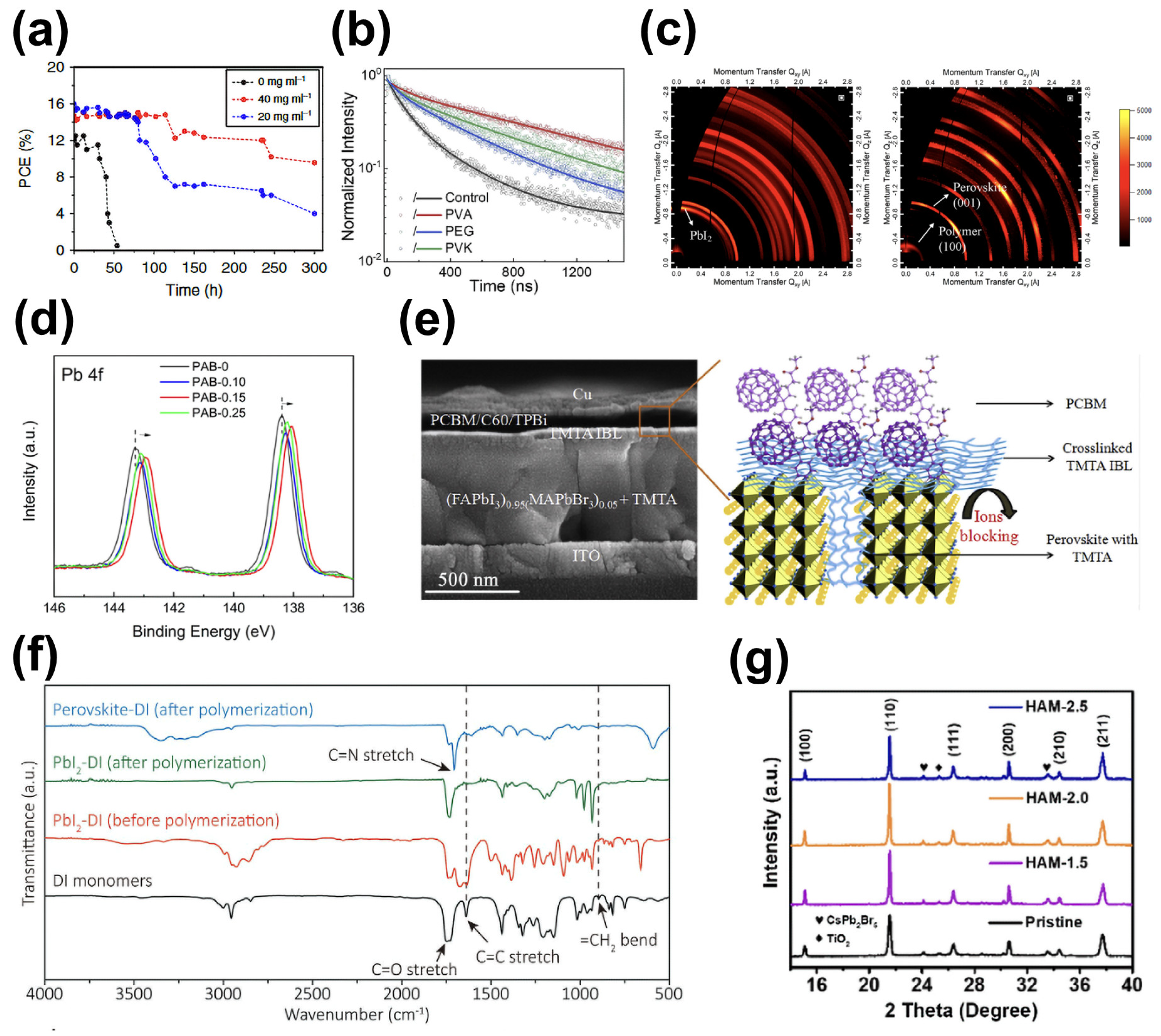 Molecules 29 02104 g009